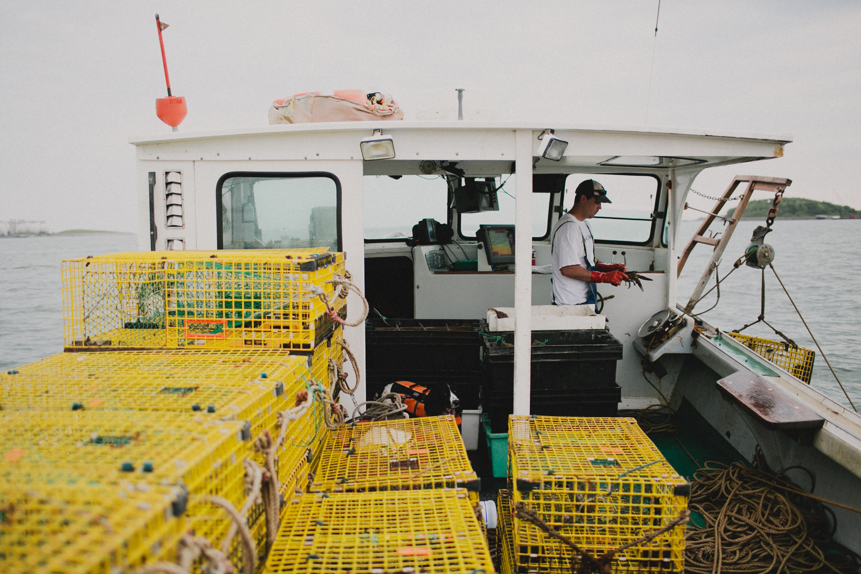 She2015-LobstahBlog-20.jpg