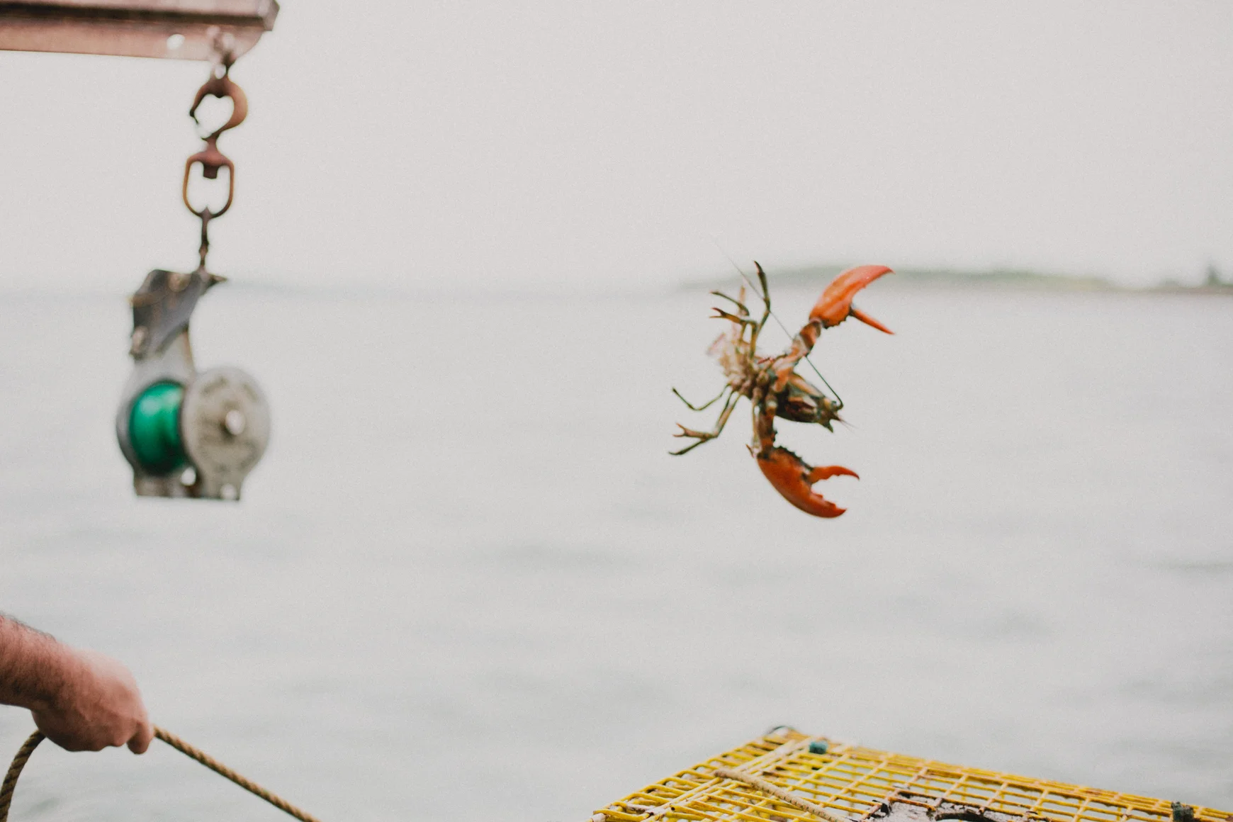 She2015-LobstahBlog-28.jpg