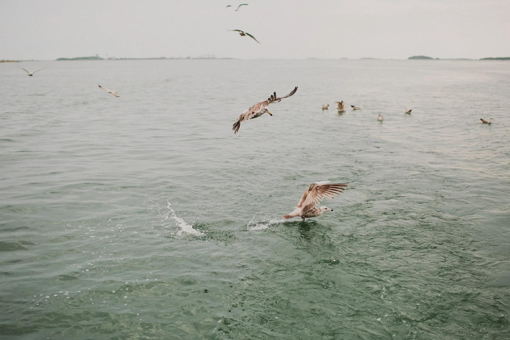 She2015-LobstahBlog-48.jpg