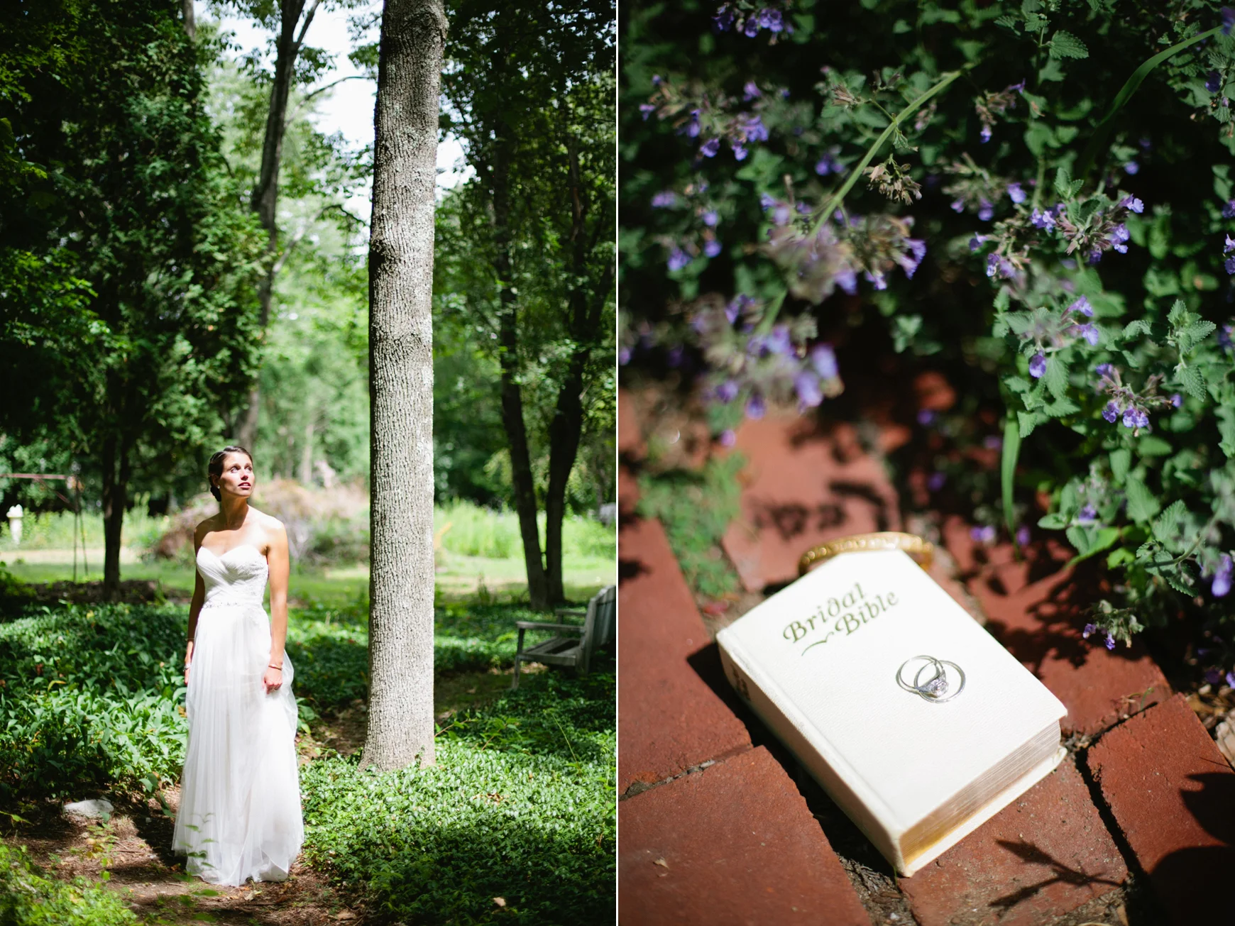 She2015-LanhamJoshBlog-1b2.jpg