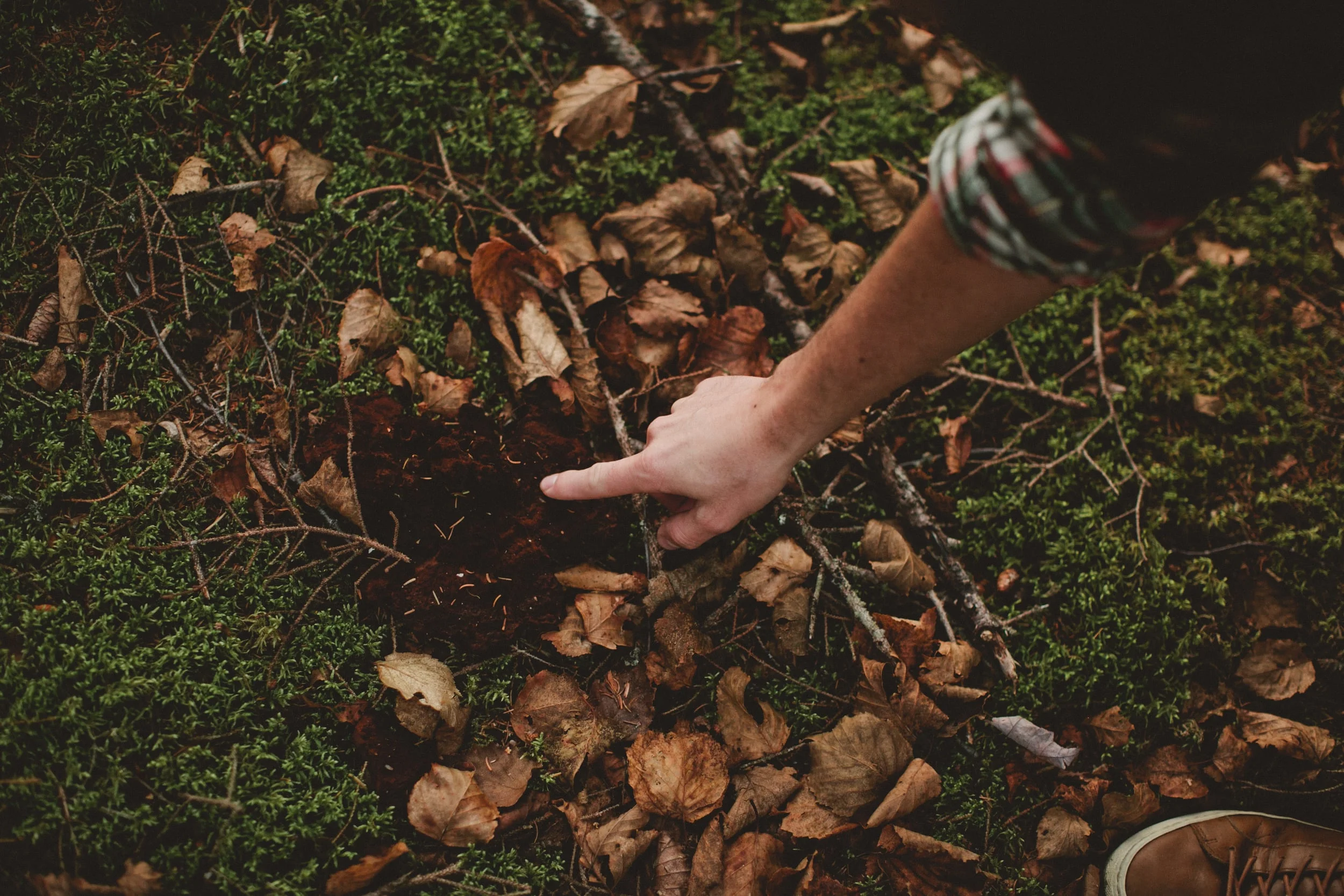 She2015 - MichaelEricaEngaged-113.jpg