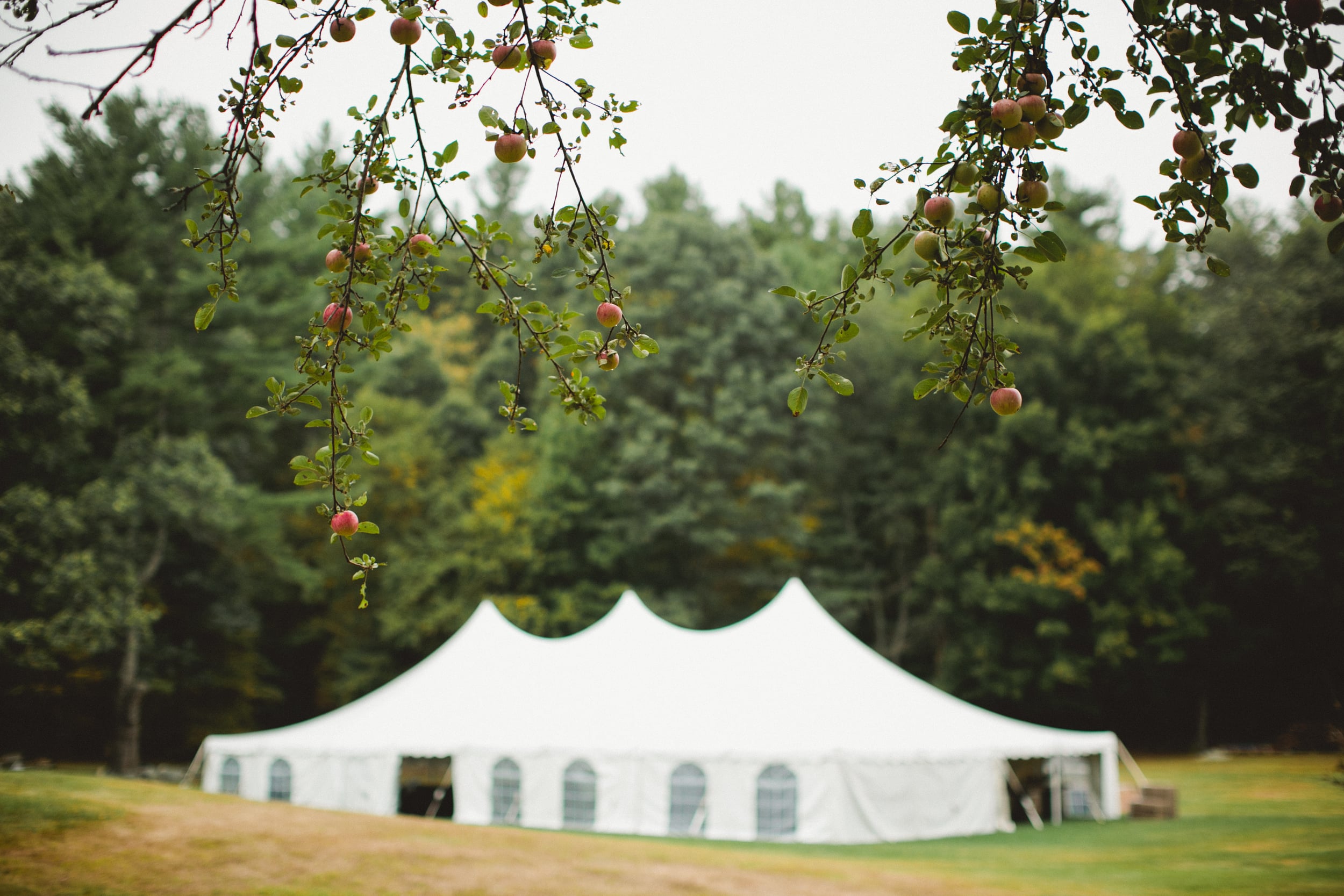 Friendly Crossways New England Same-Sex Farm Wedding Photography