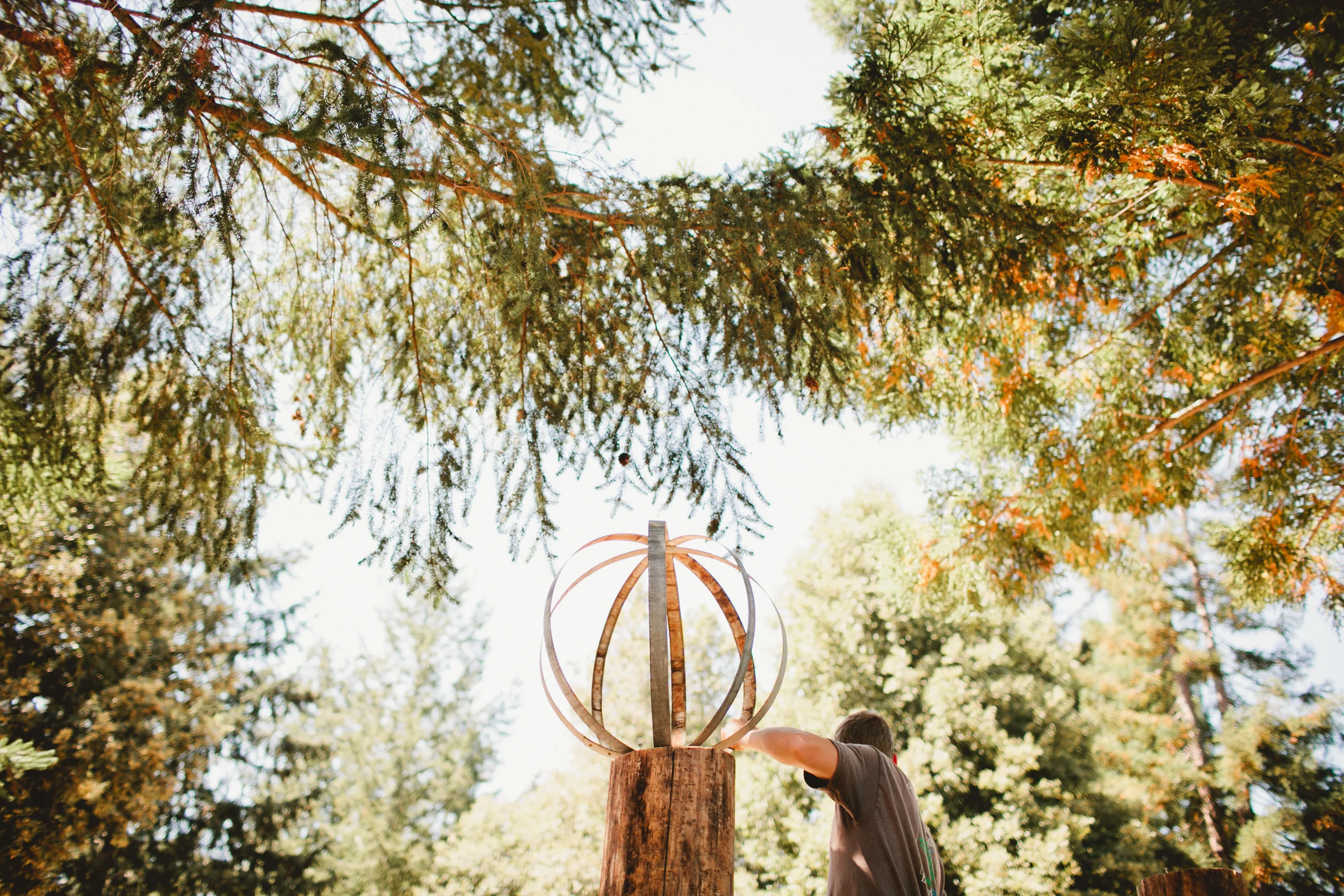 She2015 - WildforestConvergence-102.jpg
