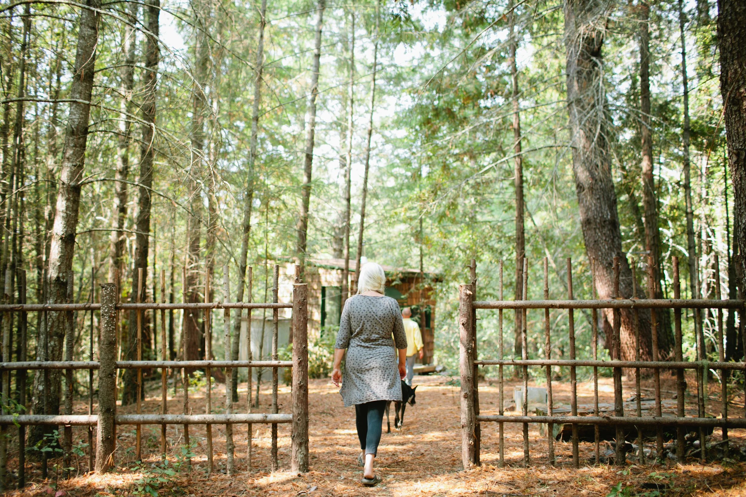 She2015 - WildforestConvergence-210.jpg