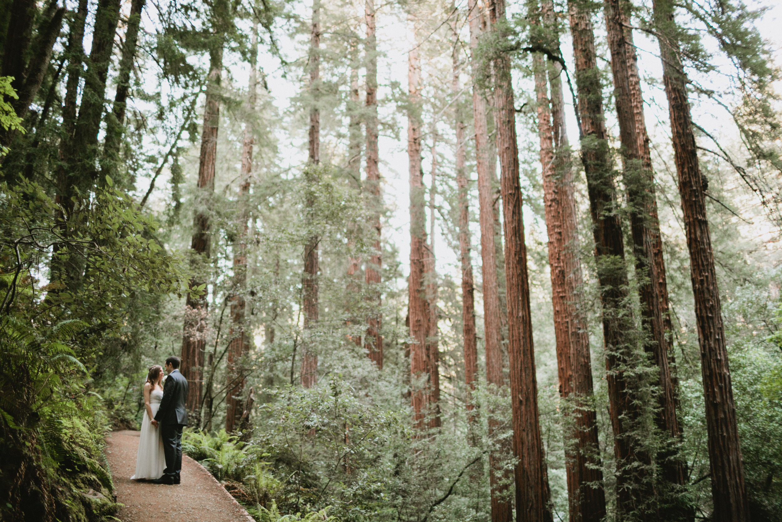 Muir Woods Wedding-38.jpg