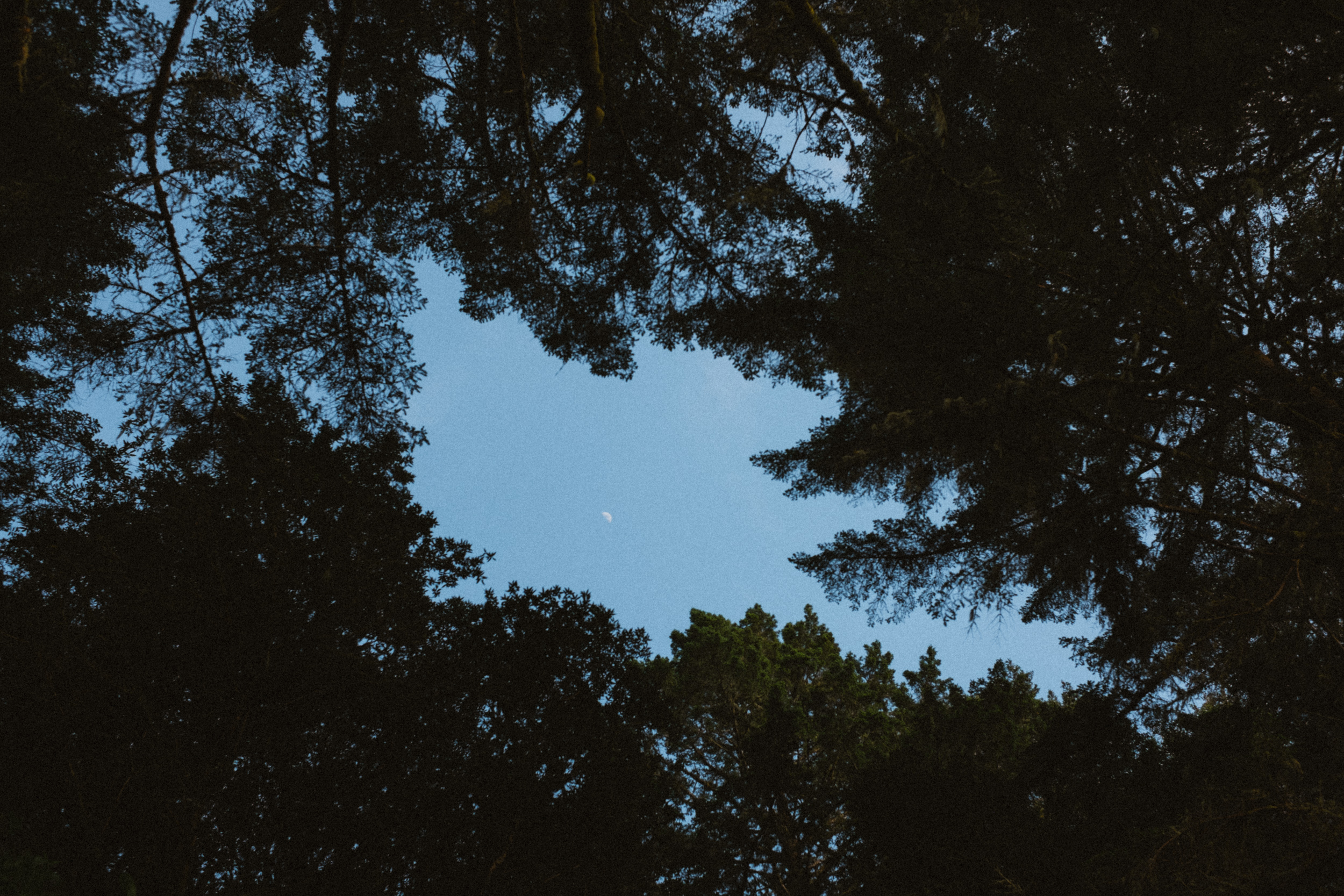 Fuji-x100t-California-6.jpg