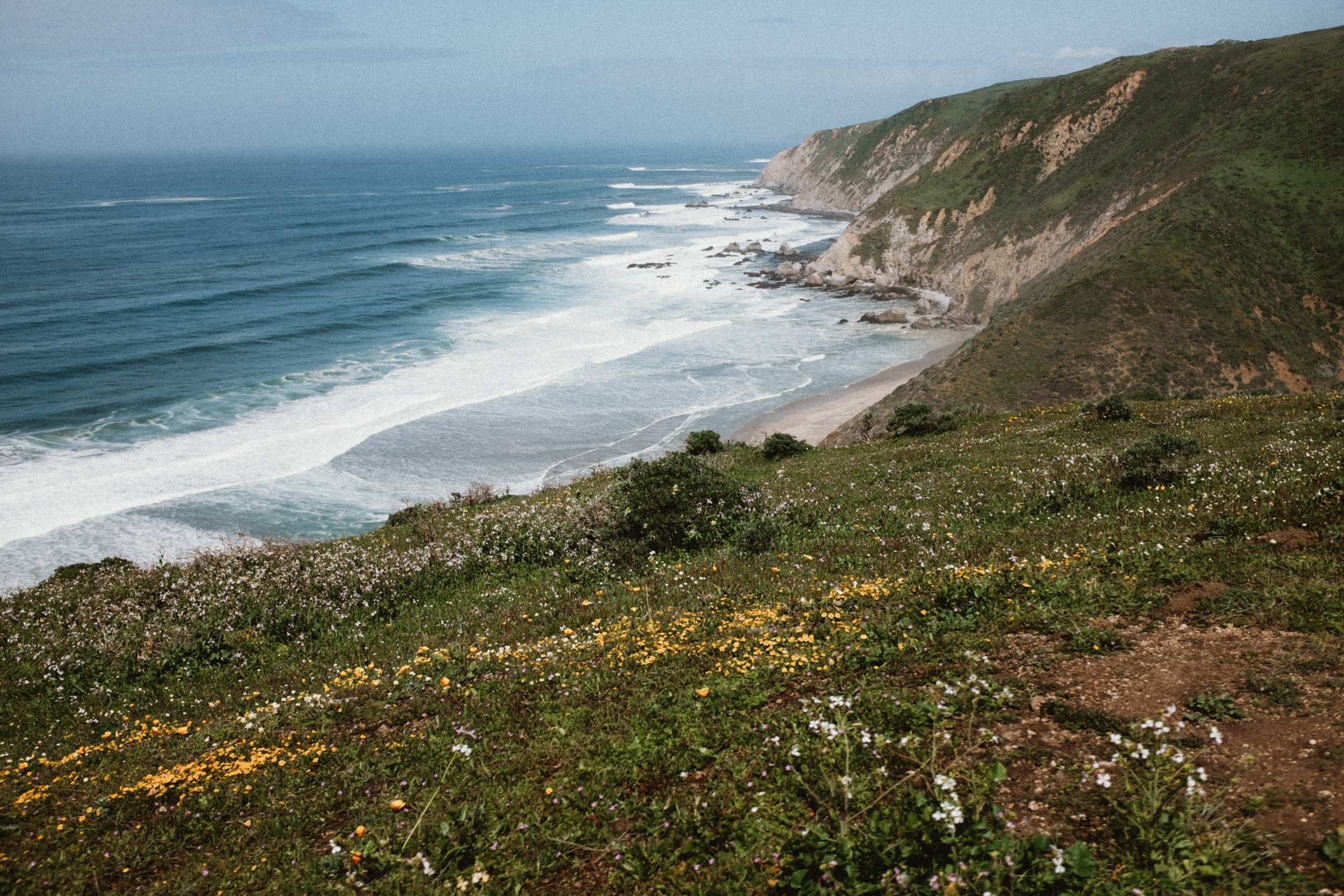 Fuji-x100t-California-13.jpg