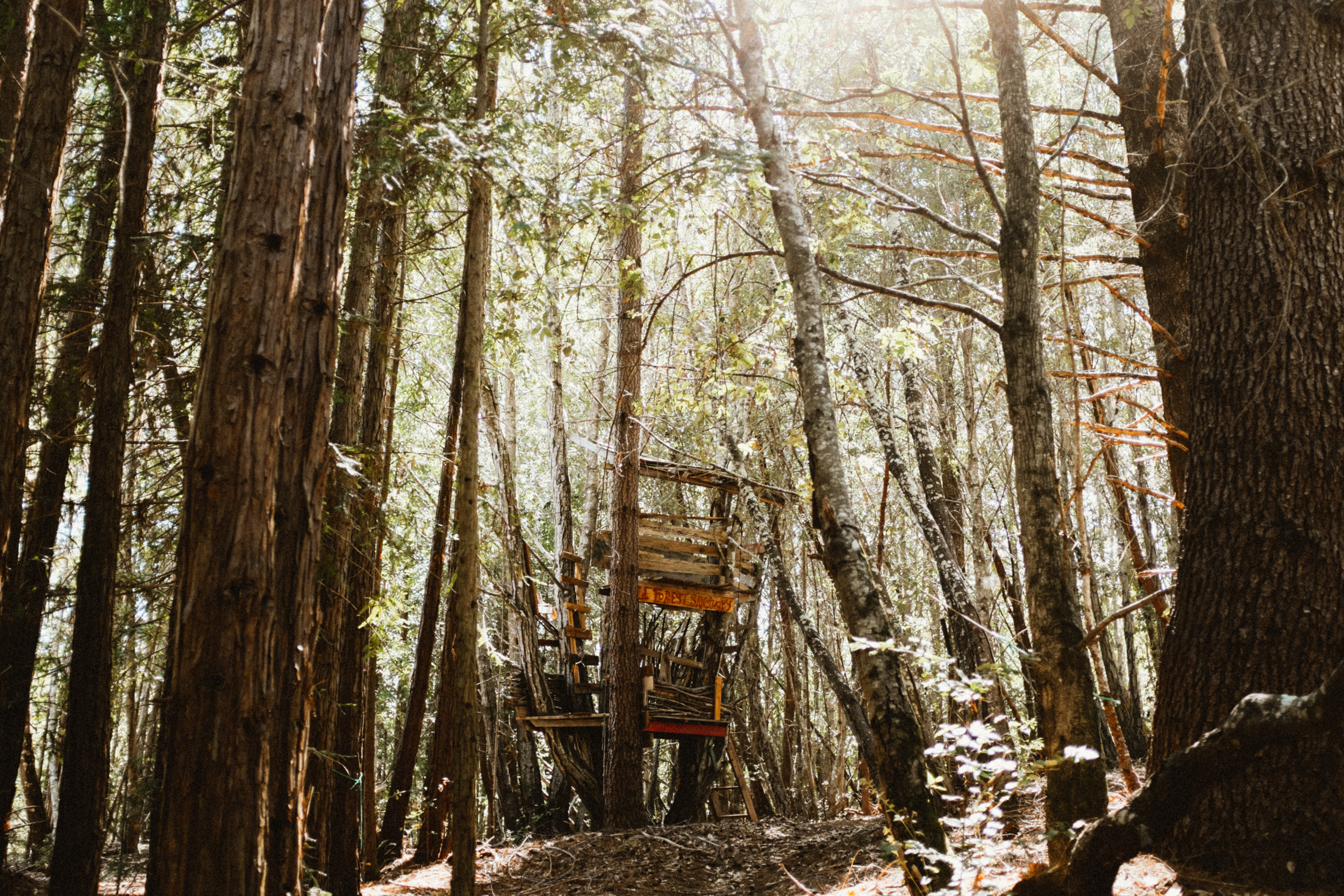 Fuji-x100t-California-20.jpg