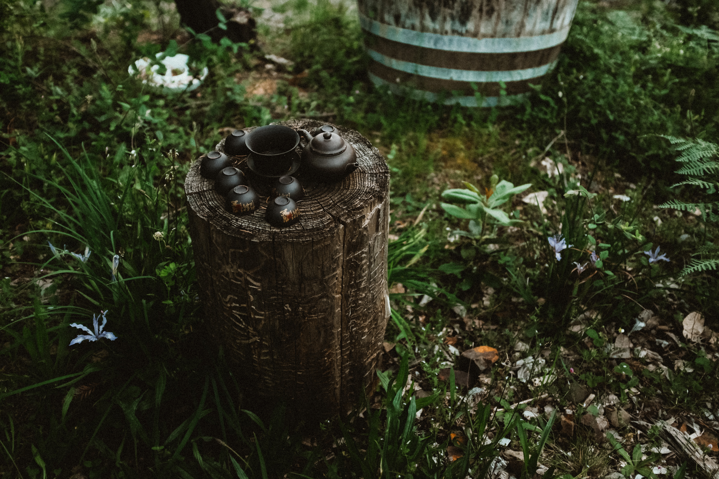Fuji-x100t-California-46.jpg