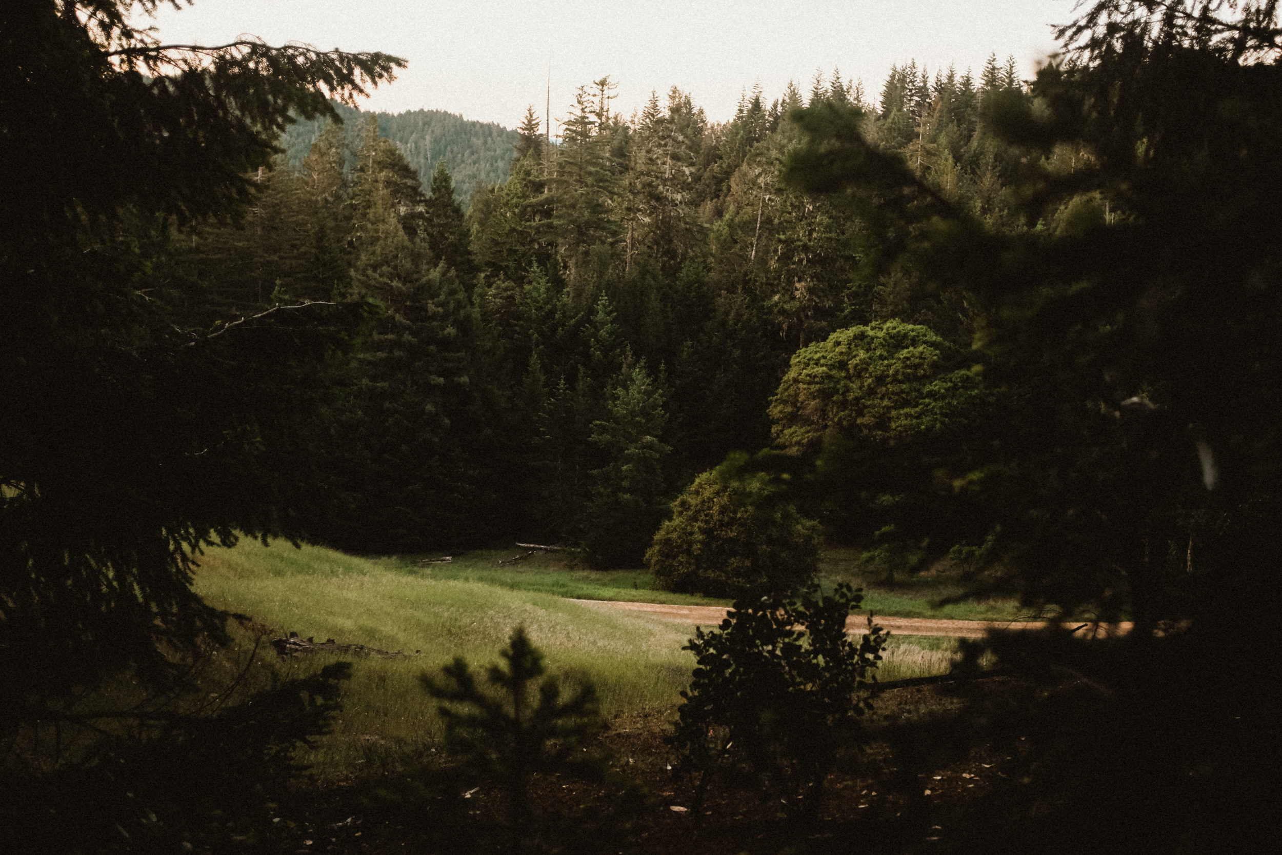 Fuji-x100t-California-52.jpg
