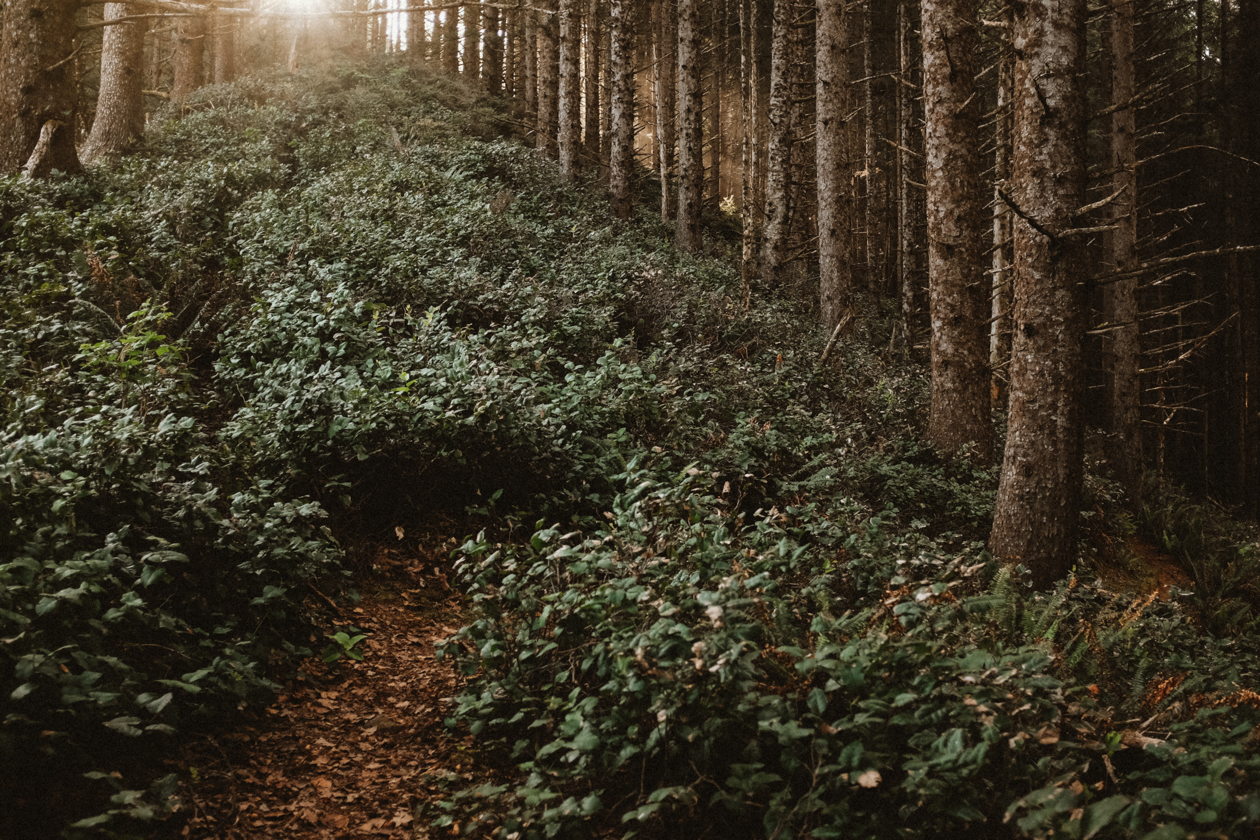 Fuji-x100t-California-87.jpg