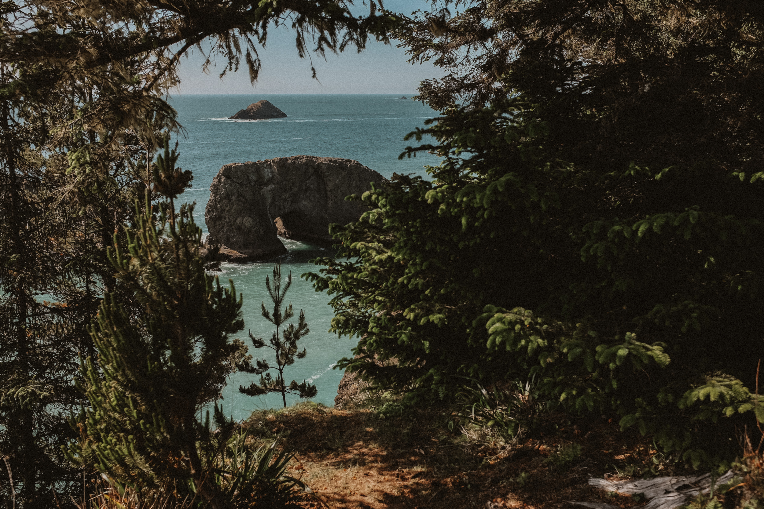 Fuji-x100t-California-94.jpg