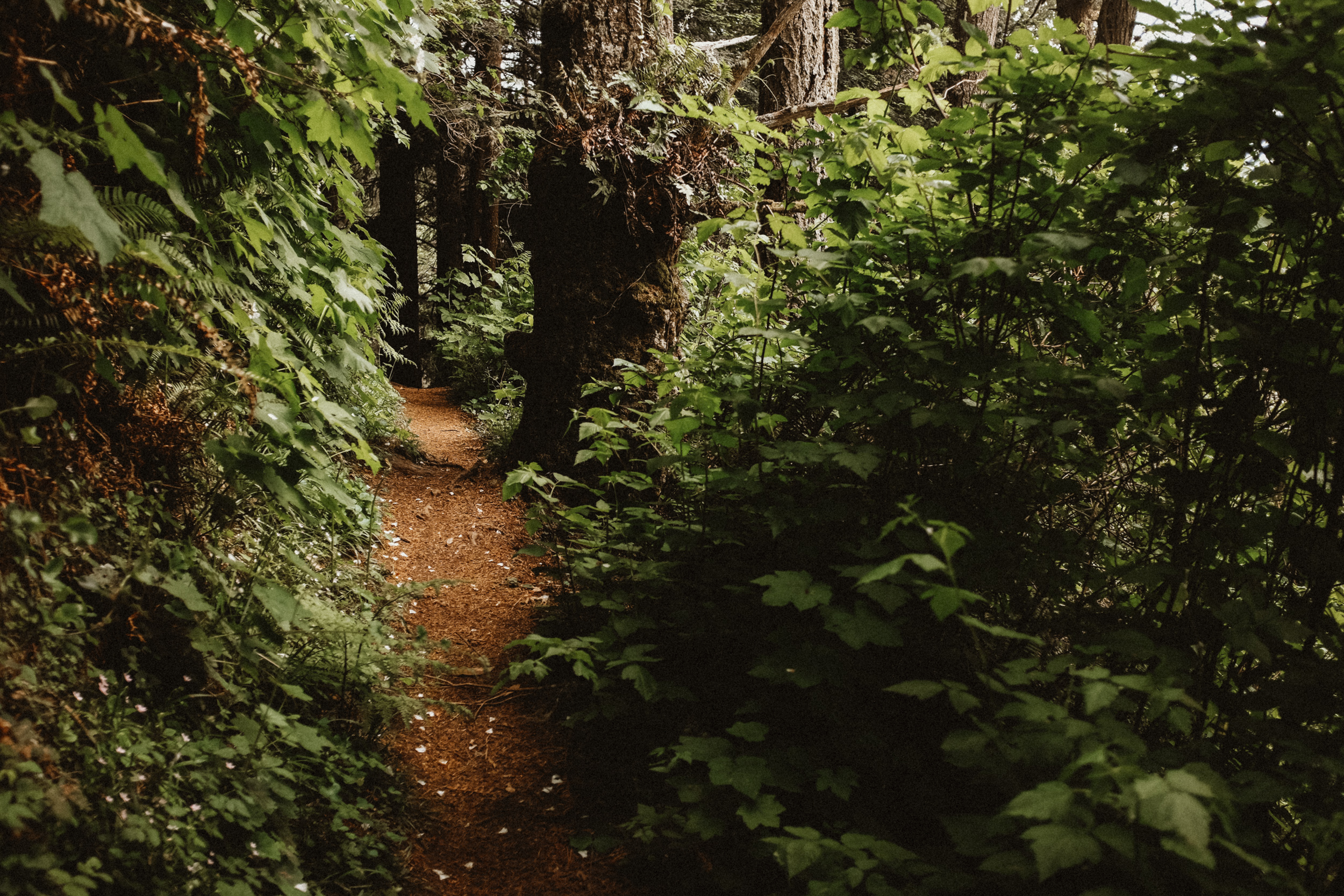 Fuji-x100t-California-99.jpg