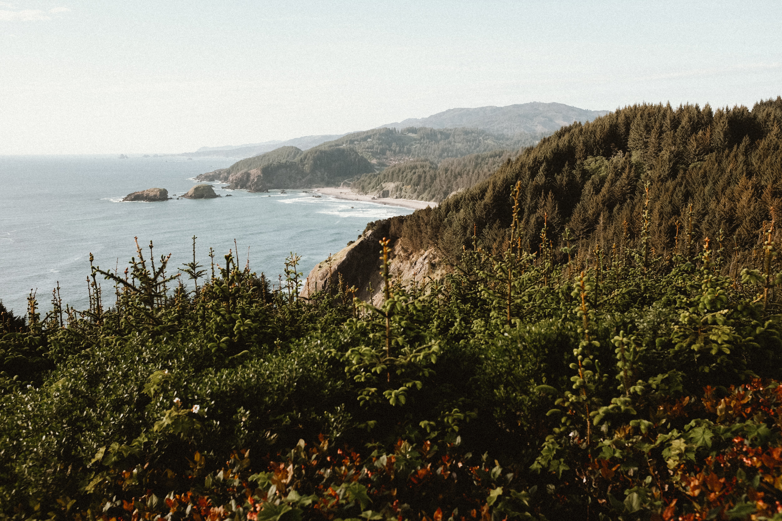 Fuji-x100t-California-105.jpg