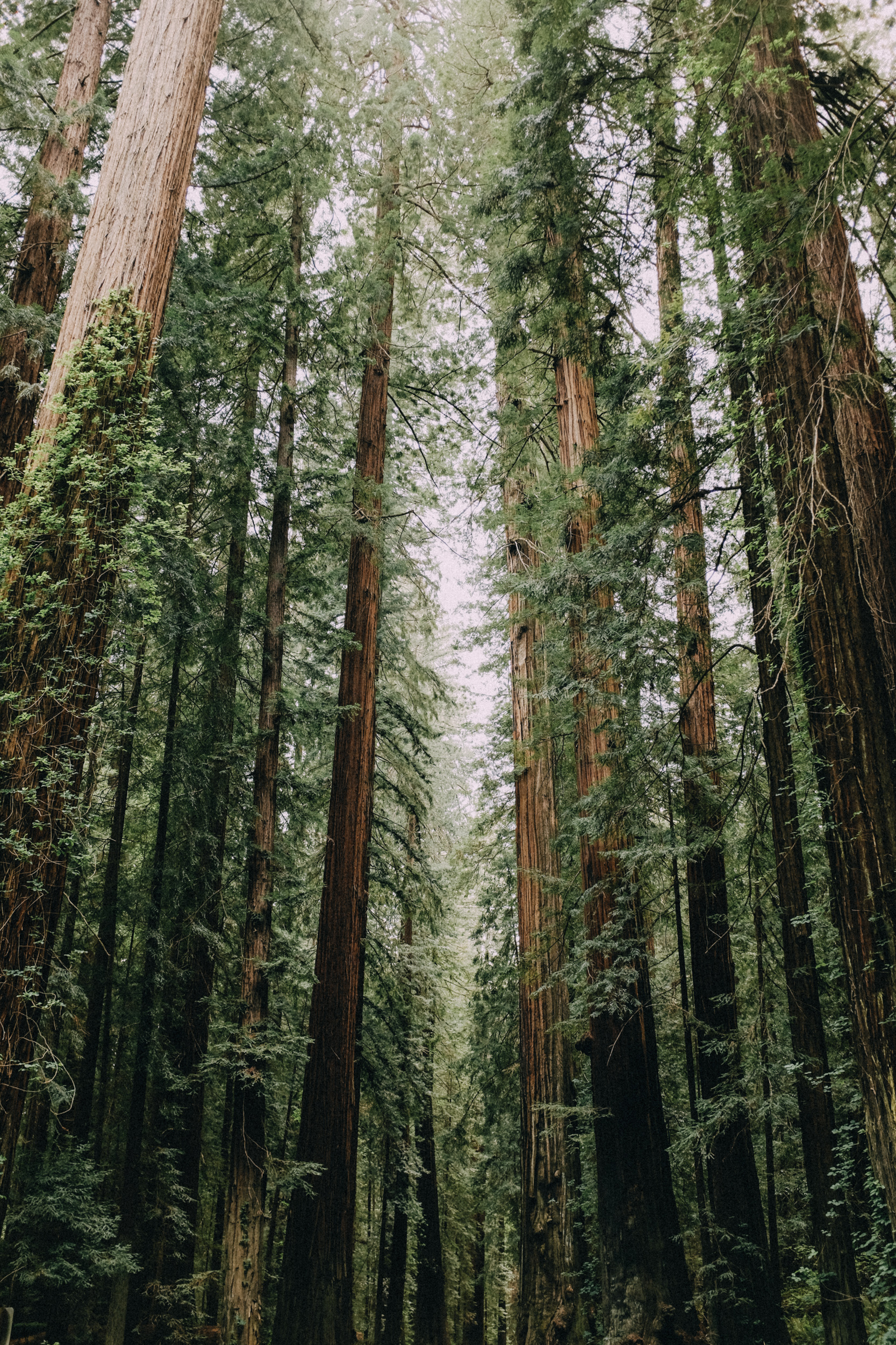 Fuji-x100t-California-113.jpg