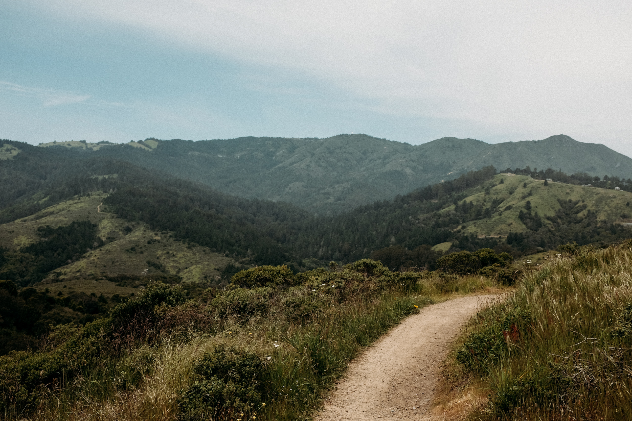 Fuji-x100t-California-165.jpg