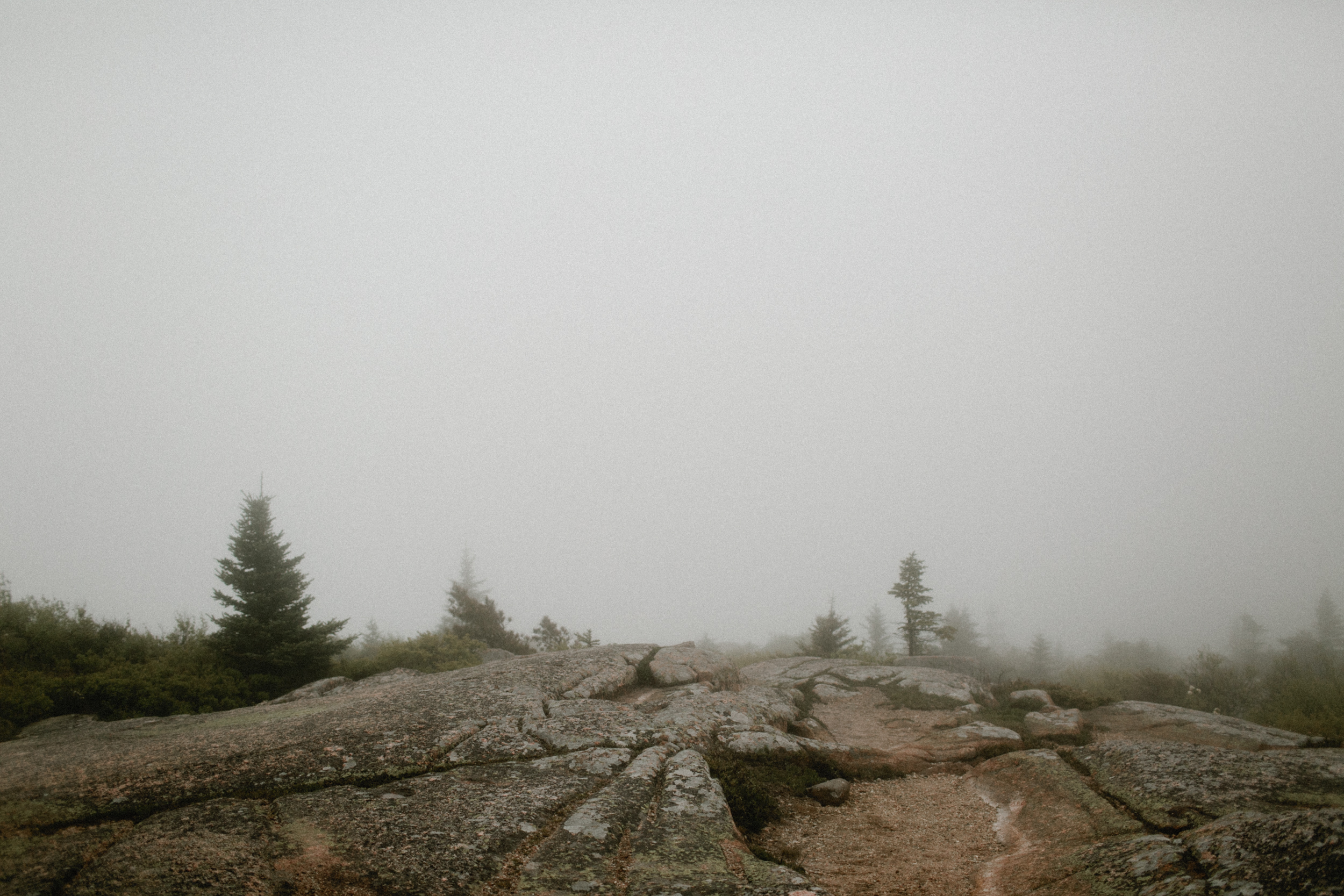 Acadia-National-Park-Elopement-13.jpg