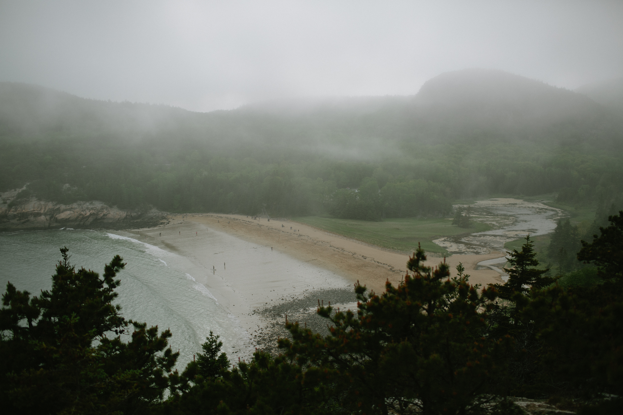 Acadia-National-Park-Engagement-29.jpg