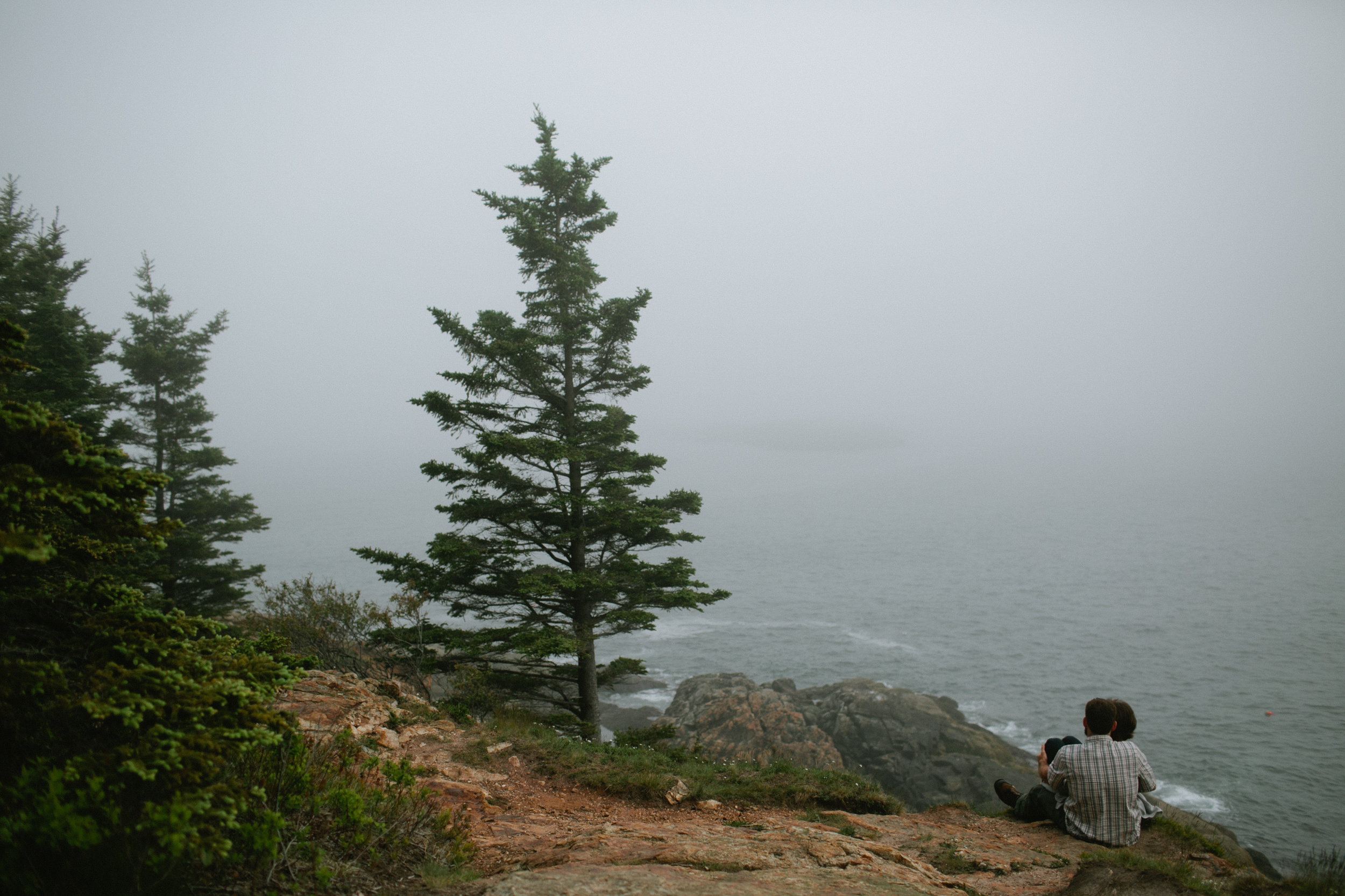 Acadia-National-Park-Engagement-33.jpg