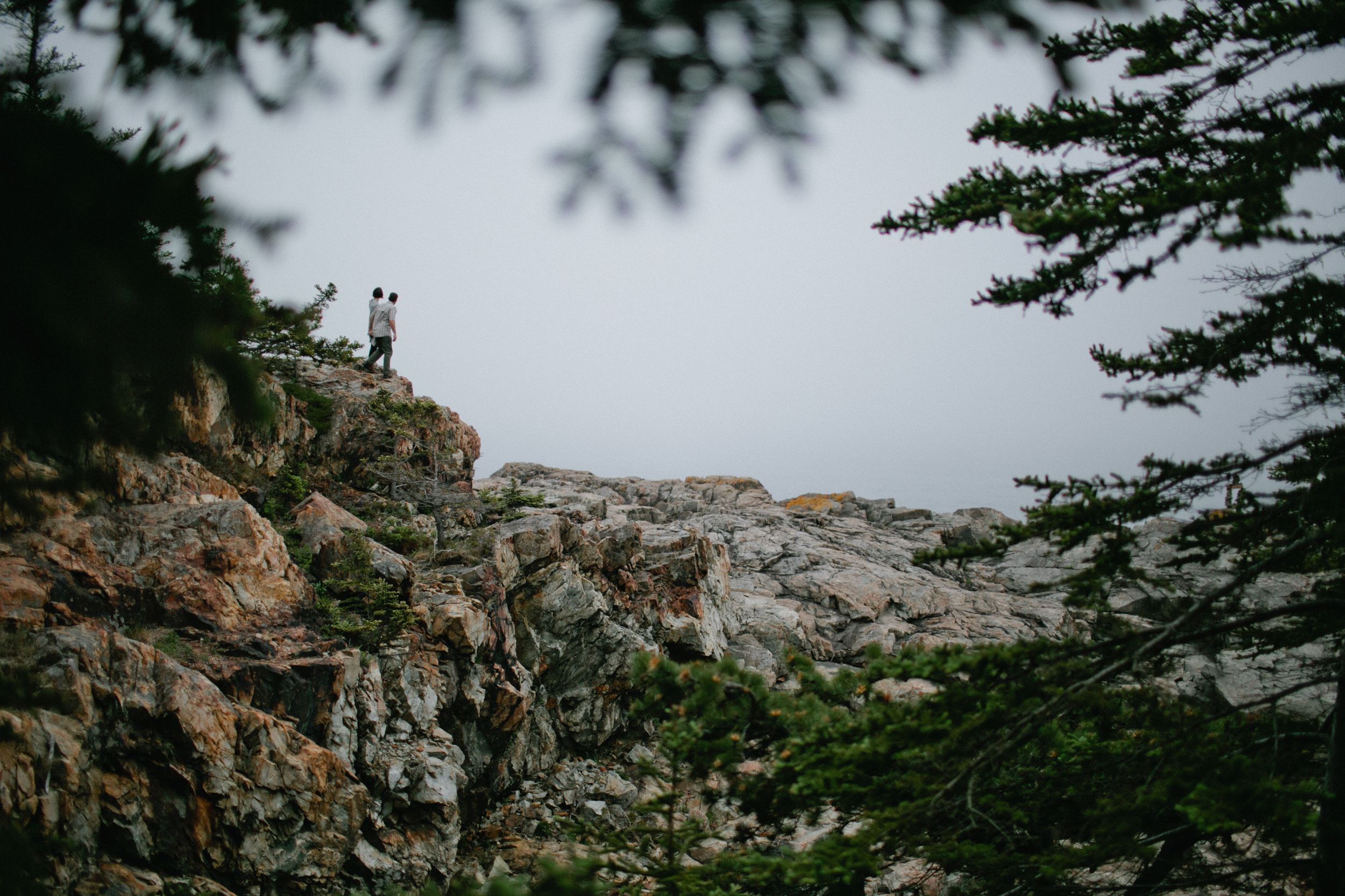 Acadia-National-Park-Engagement-46.jpg