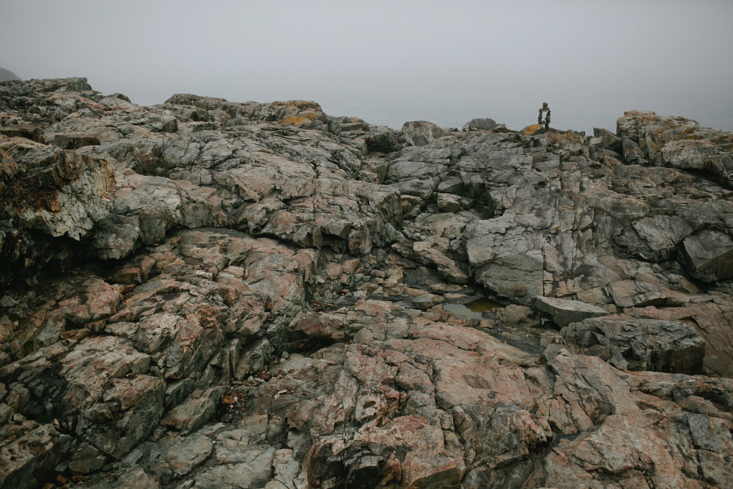 Acadia-National-Park-Engagement-47.jpg