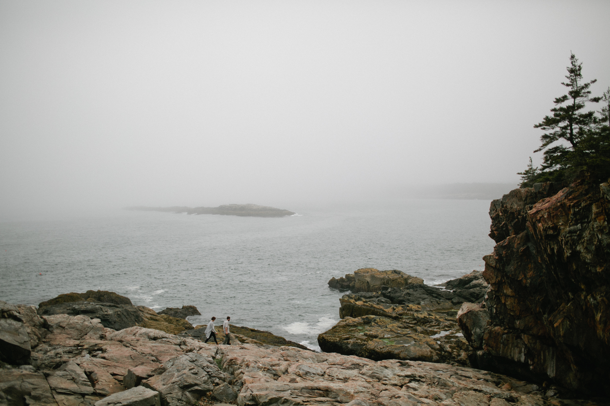 Acadia-National-Park-Engagement-50.jpg