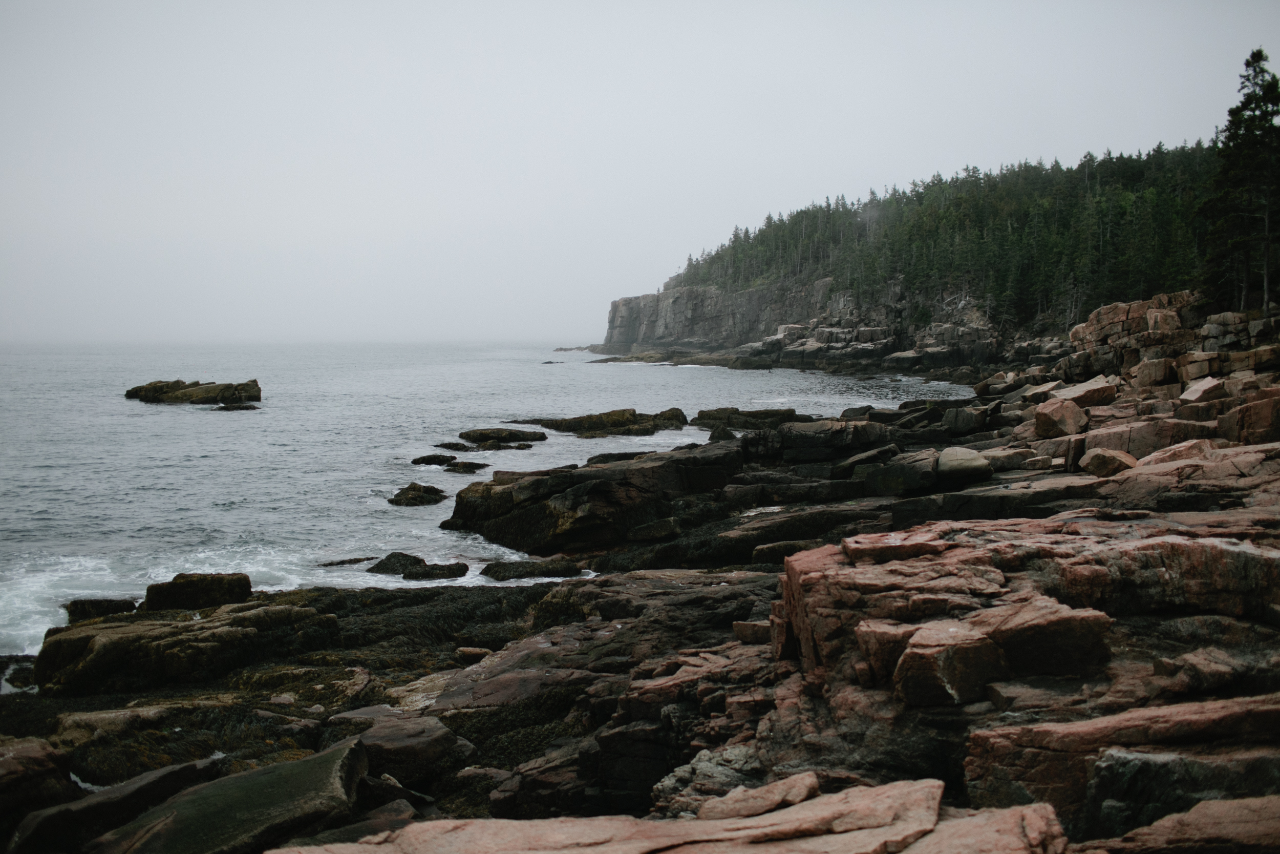 Acadia-National-Park-Engagement-68.jpg