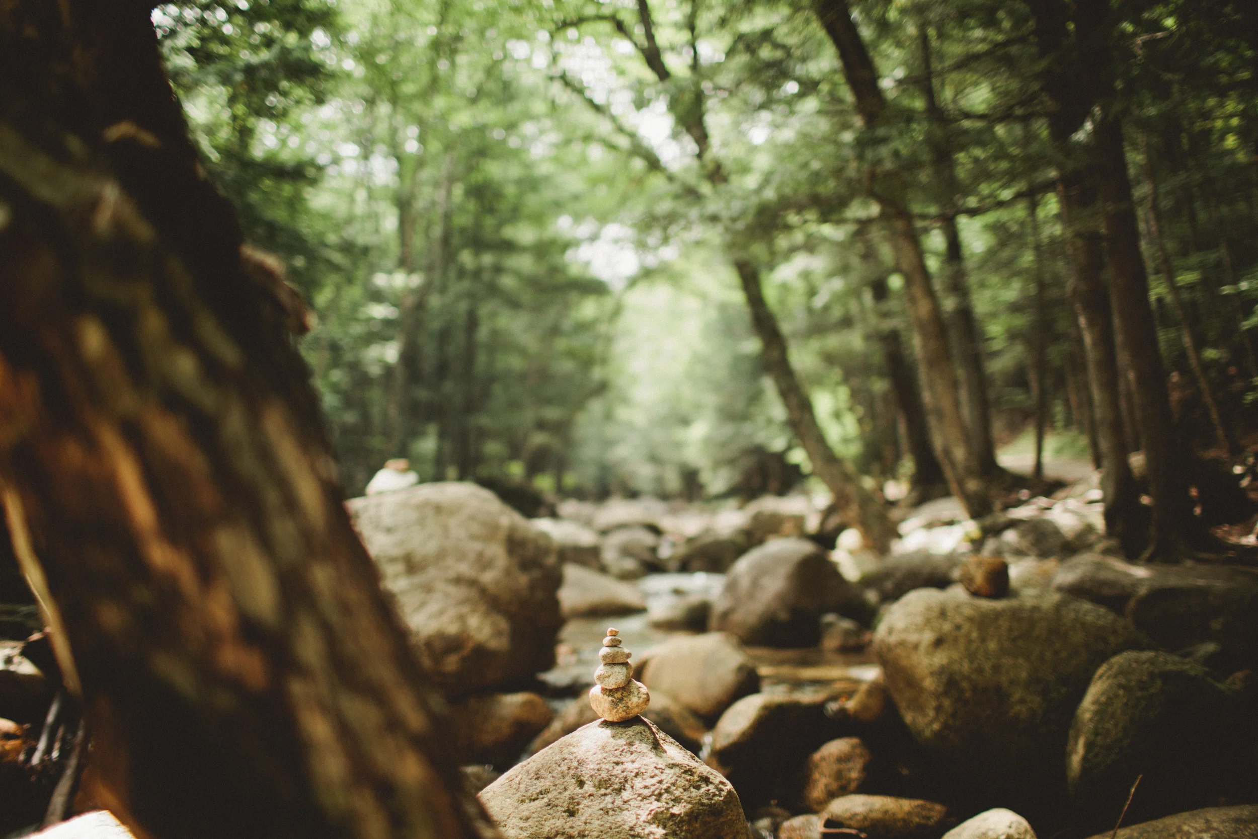Sabbaday-Falls-Wedding-6.jpg