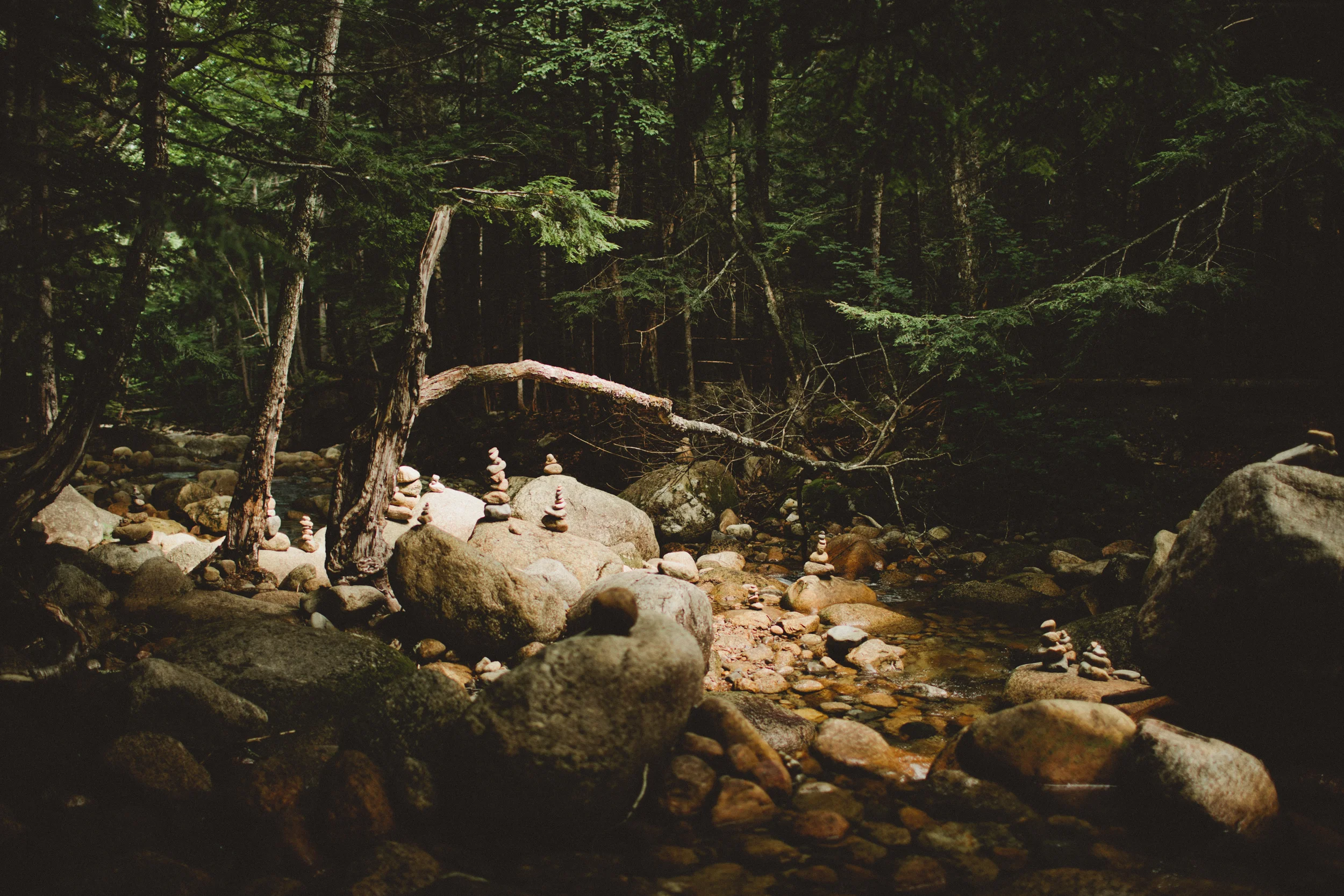 Sabbaday-Falls-Wedding-27.jpg
