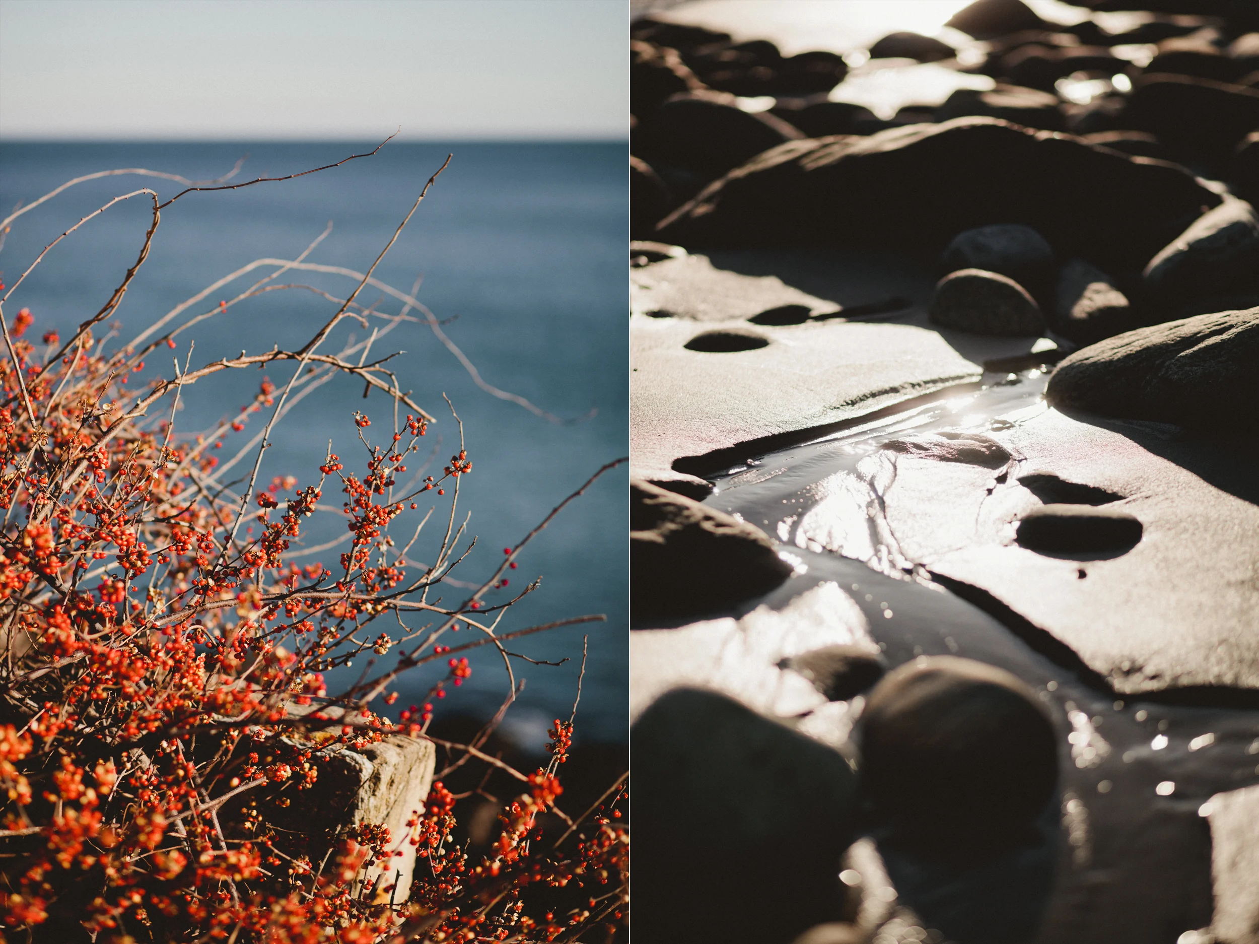 Fort-Williams-Engagement-Photos-1d.jpg