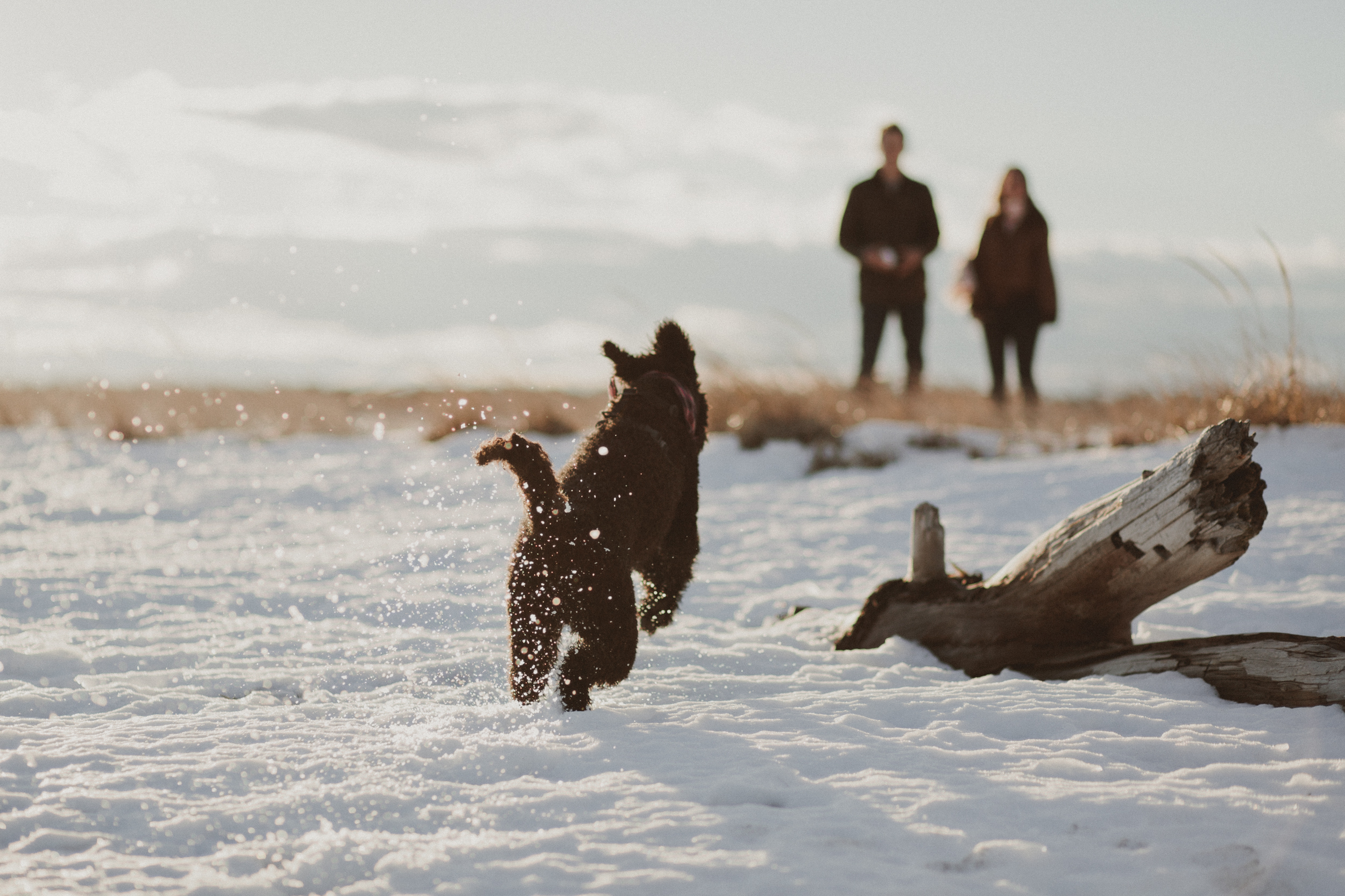 Maine-Engagement-Photos-34.jpg