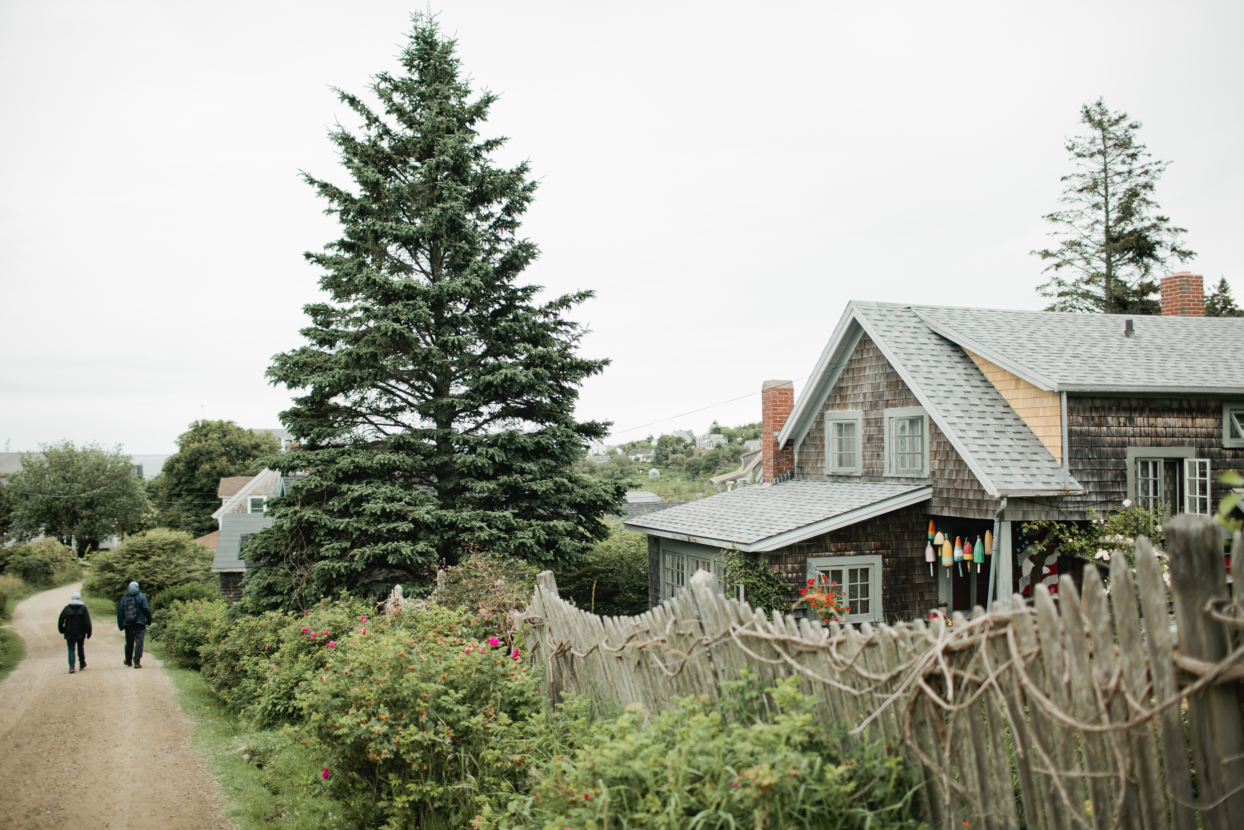 Monhegan-Island-Wedding-184.jpg