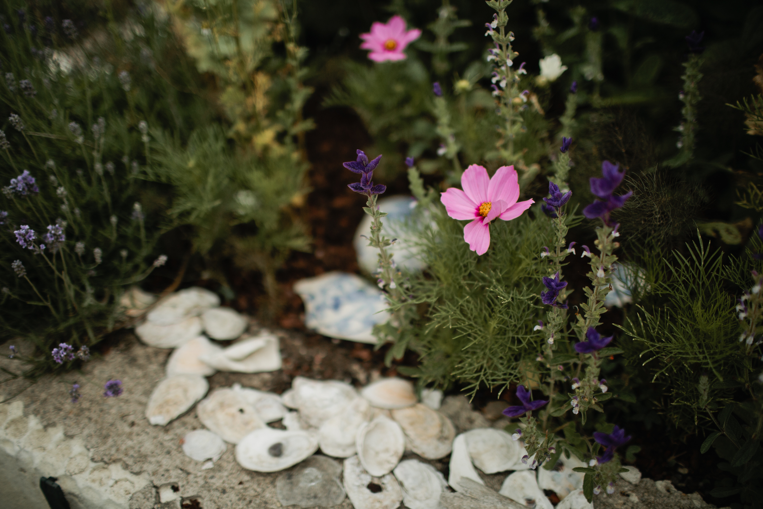 Monhegan-Island-Wedding-195.jpg