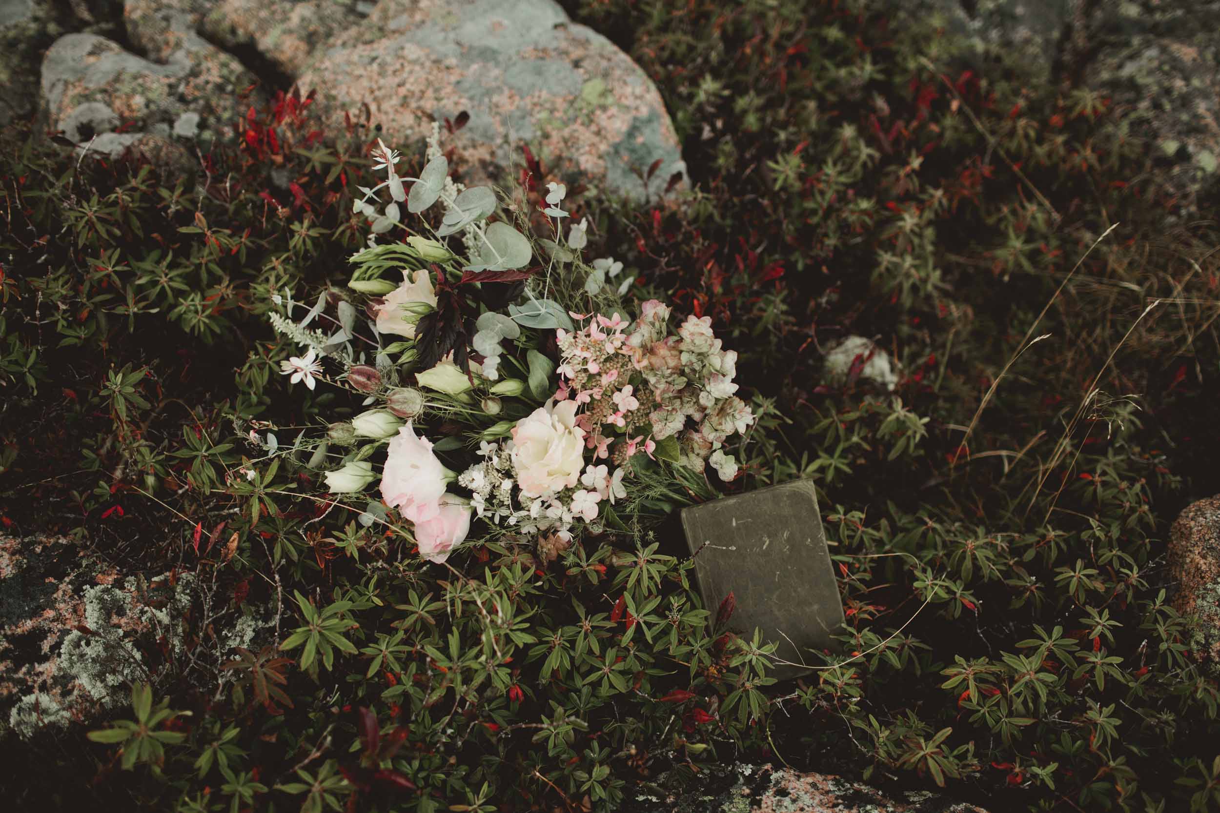 Maine-Elopement-Photographer3.jpg