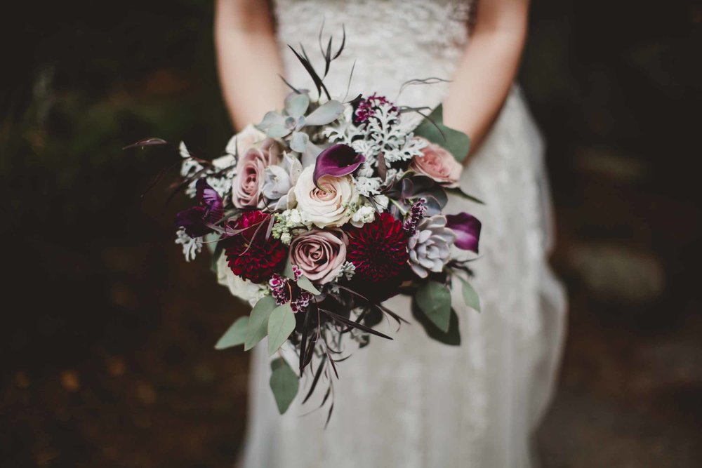 Acadia Elopement 