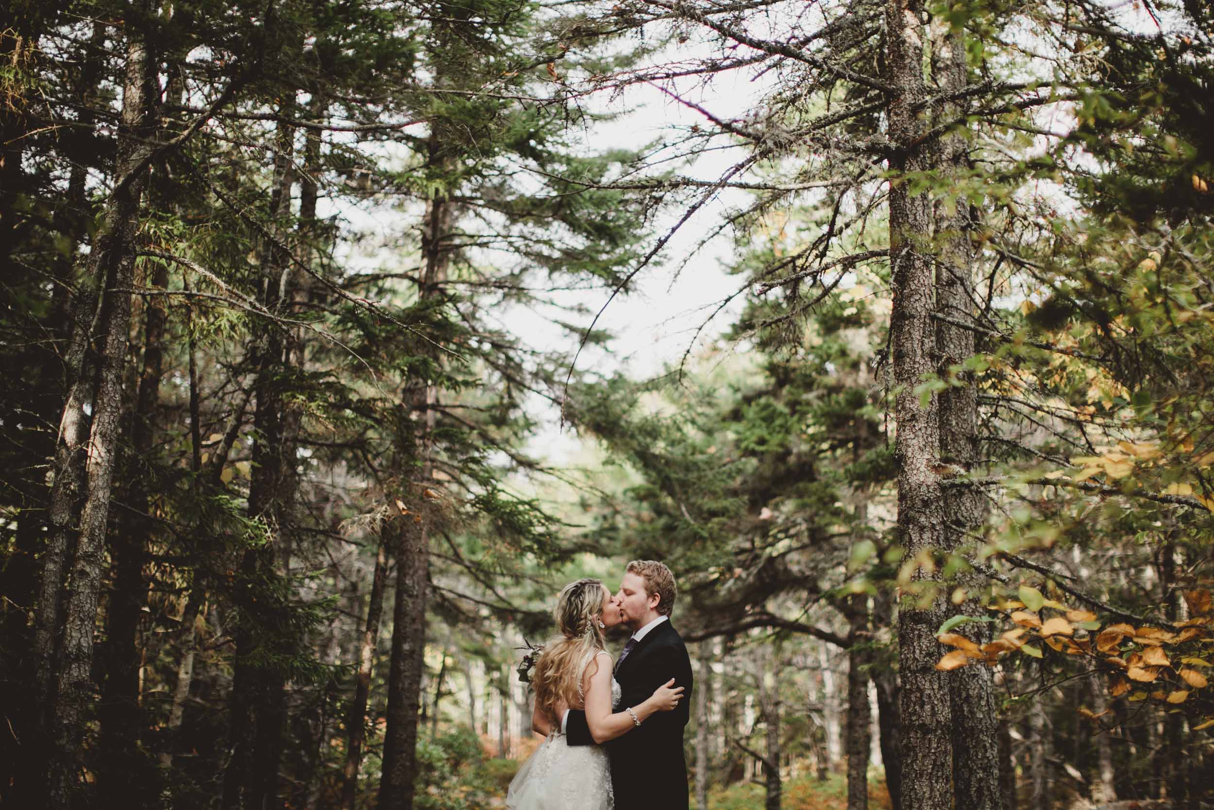 Acadia Elopement 