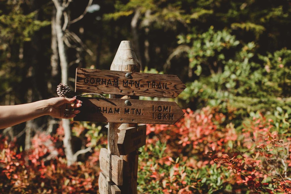 Acadia Elopement 