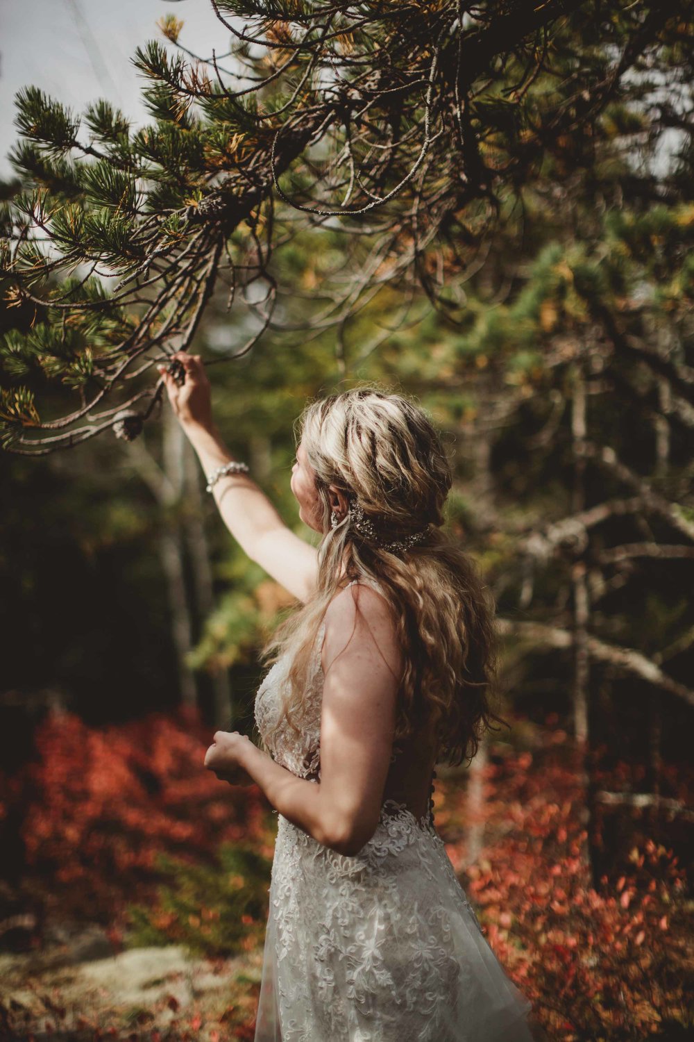 Acadia Elopement 