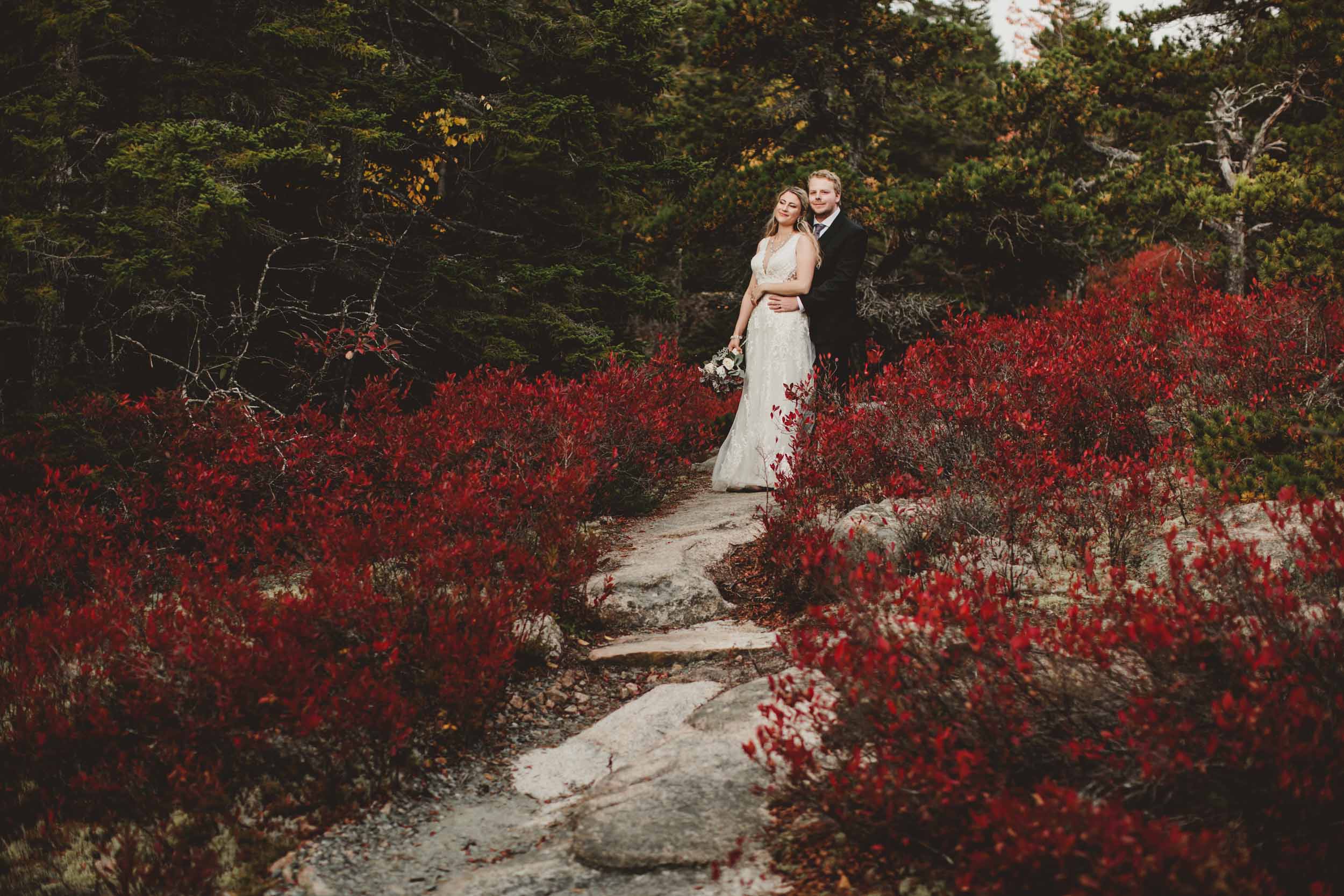 Acadia Elopement 