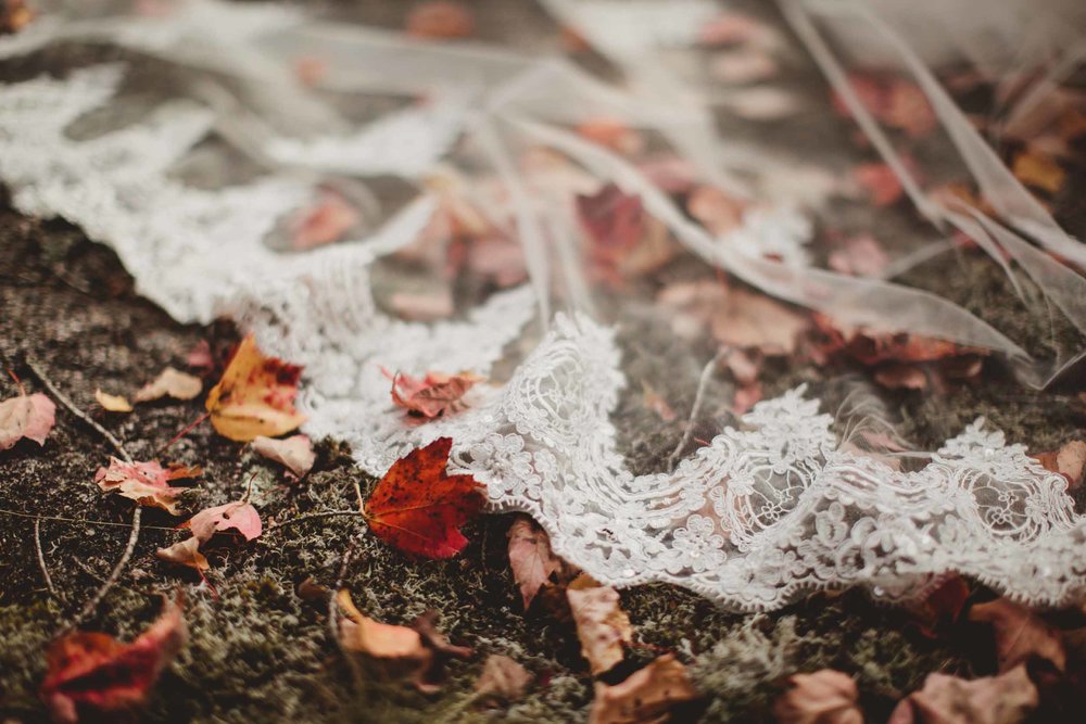 Acadia Elopement 