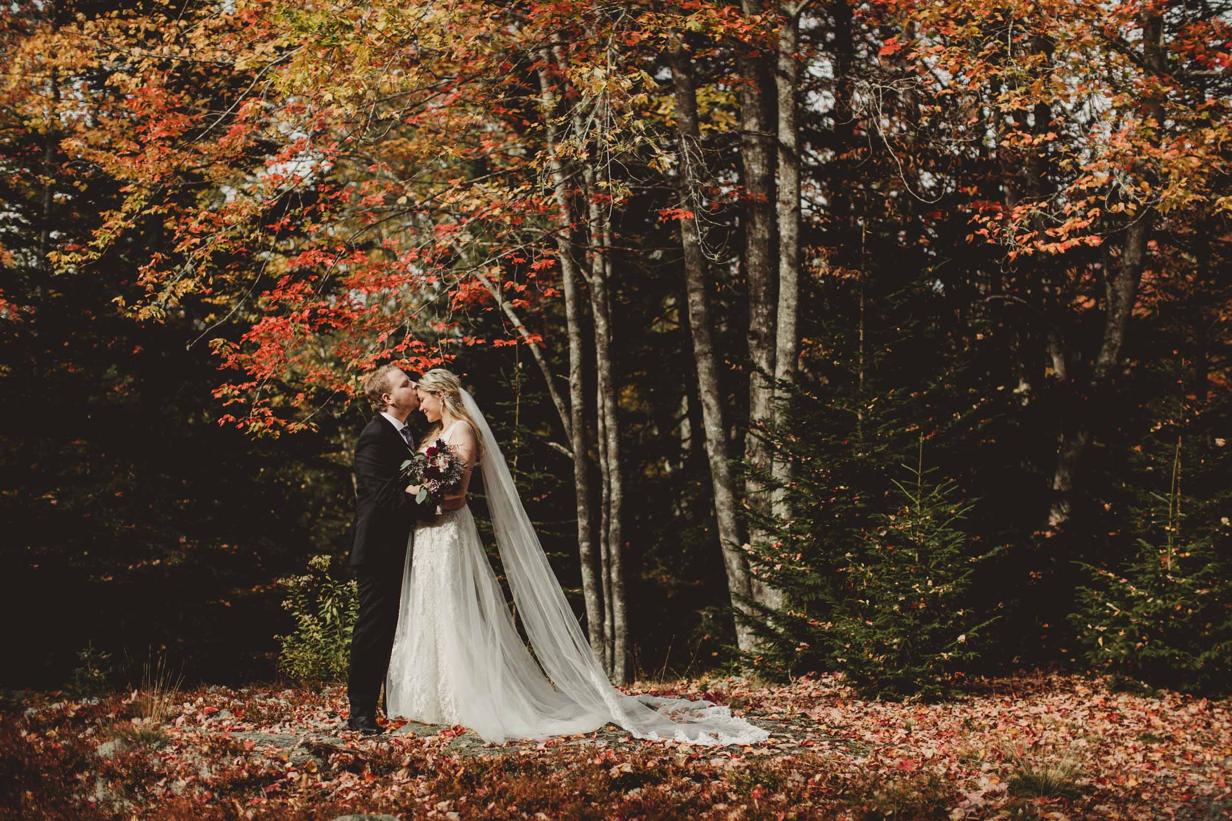 Acadia Elopement 