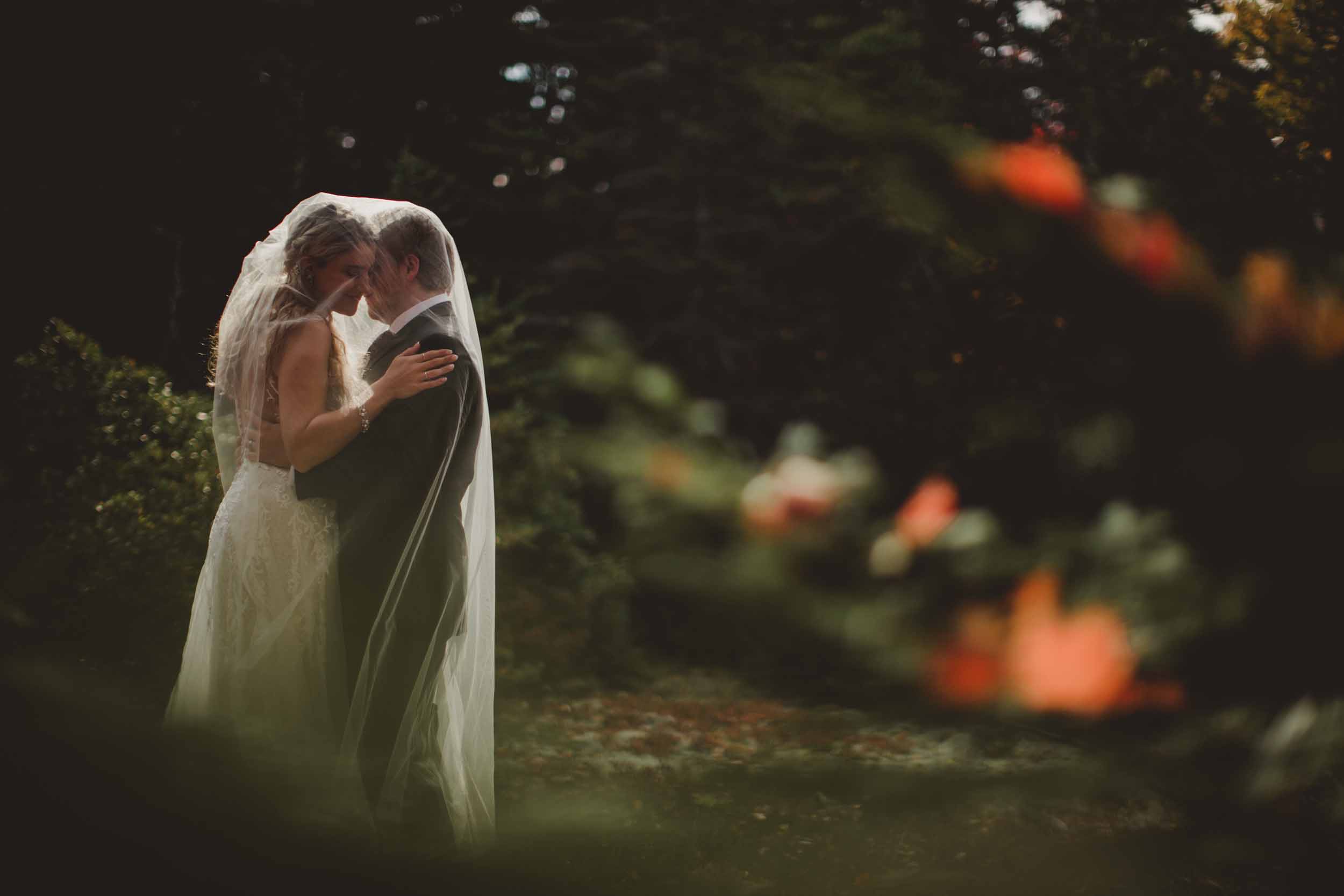 Acadia Elopement 