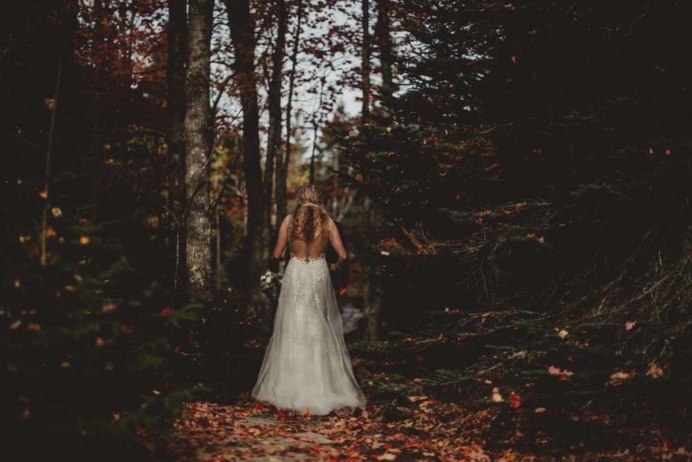 Acadia Elopement 