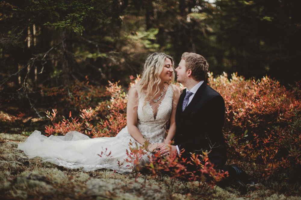 Acadia Elopement 