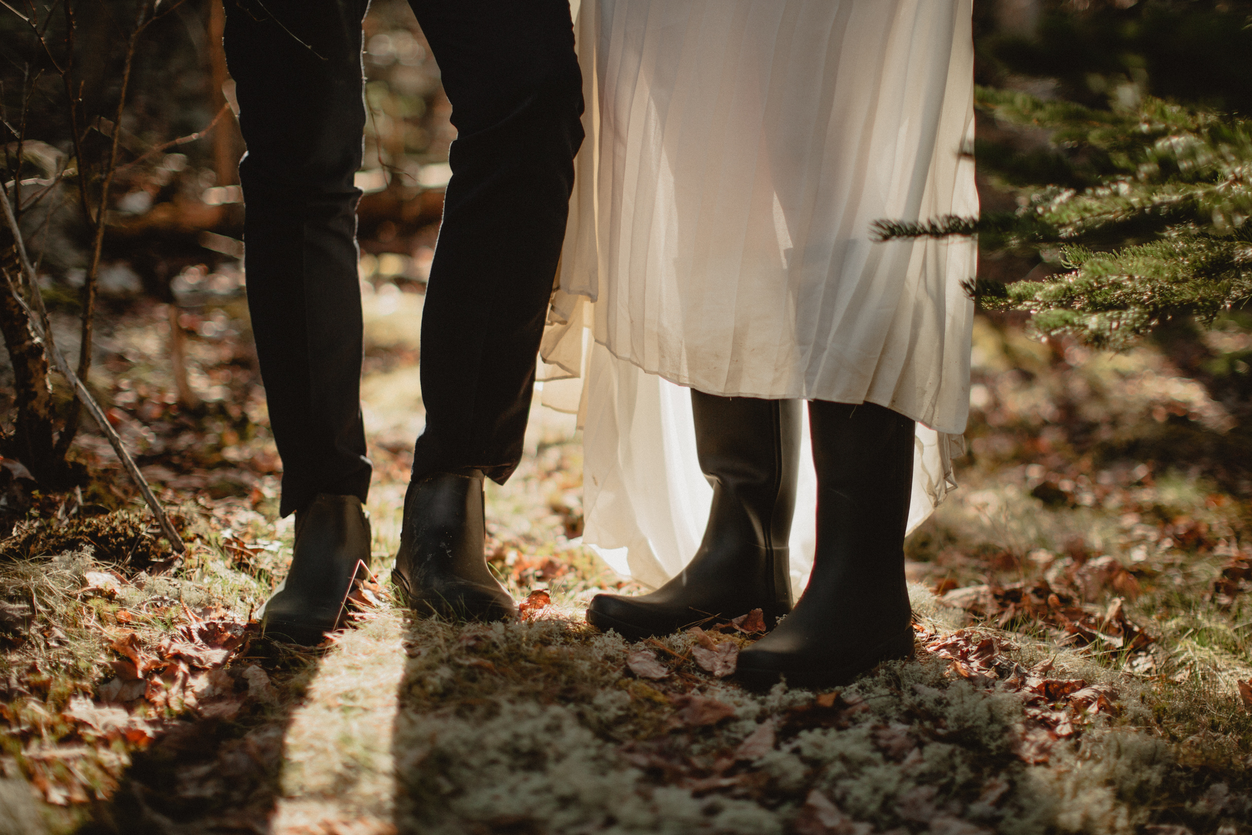 Acadia-Elopement-86.jpg