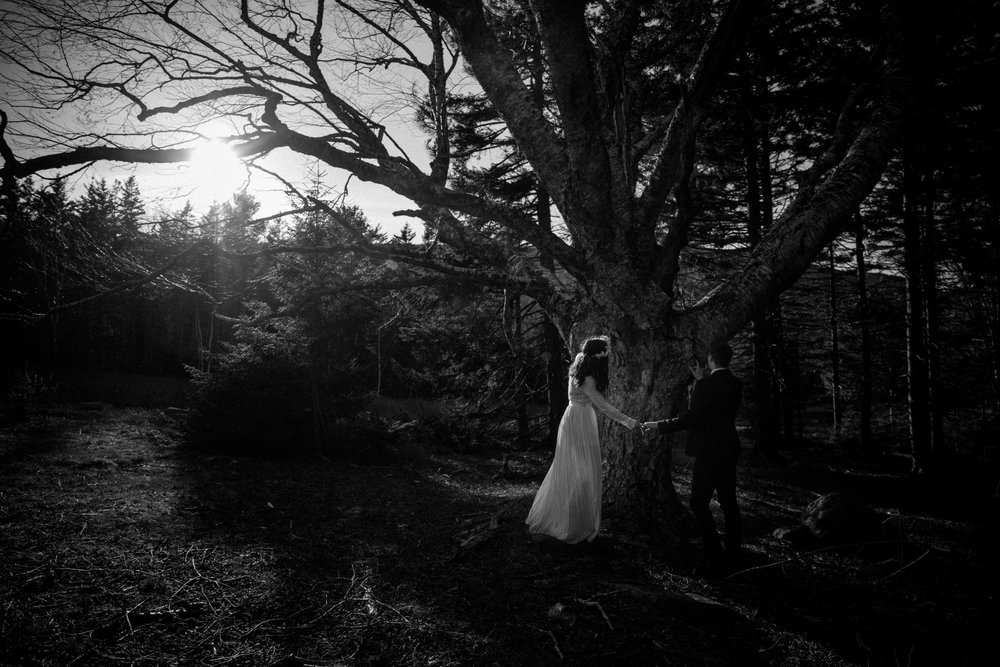 Acadia-Elopement-116.jpg