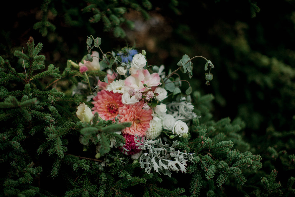 Acadia-Elopement-40.jpg