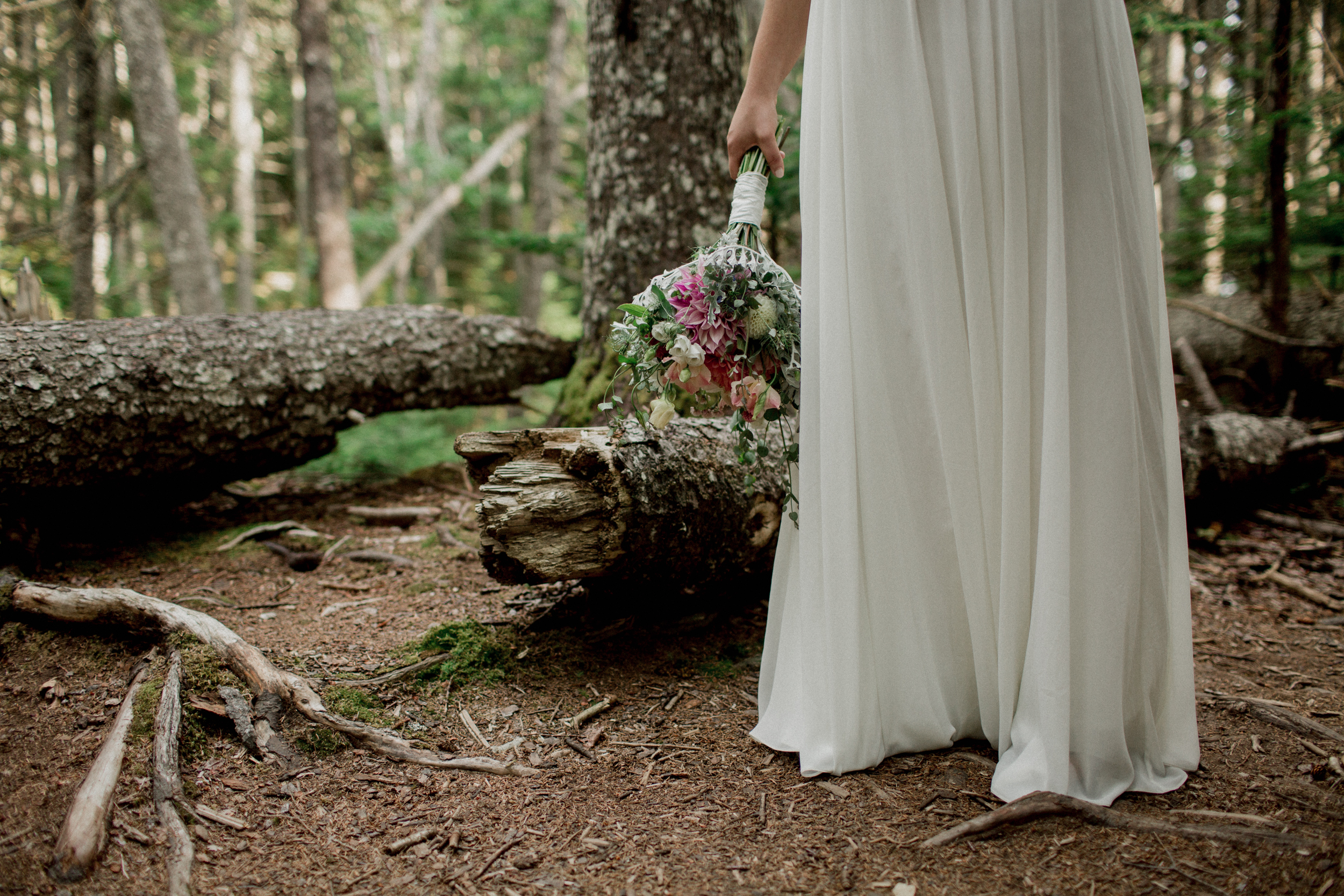 Acadia-Elopement-64.jpg