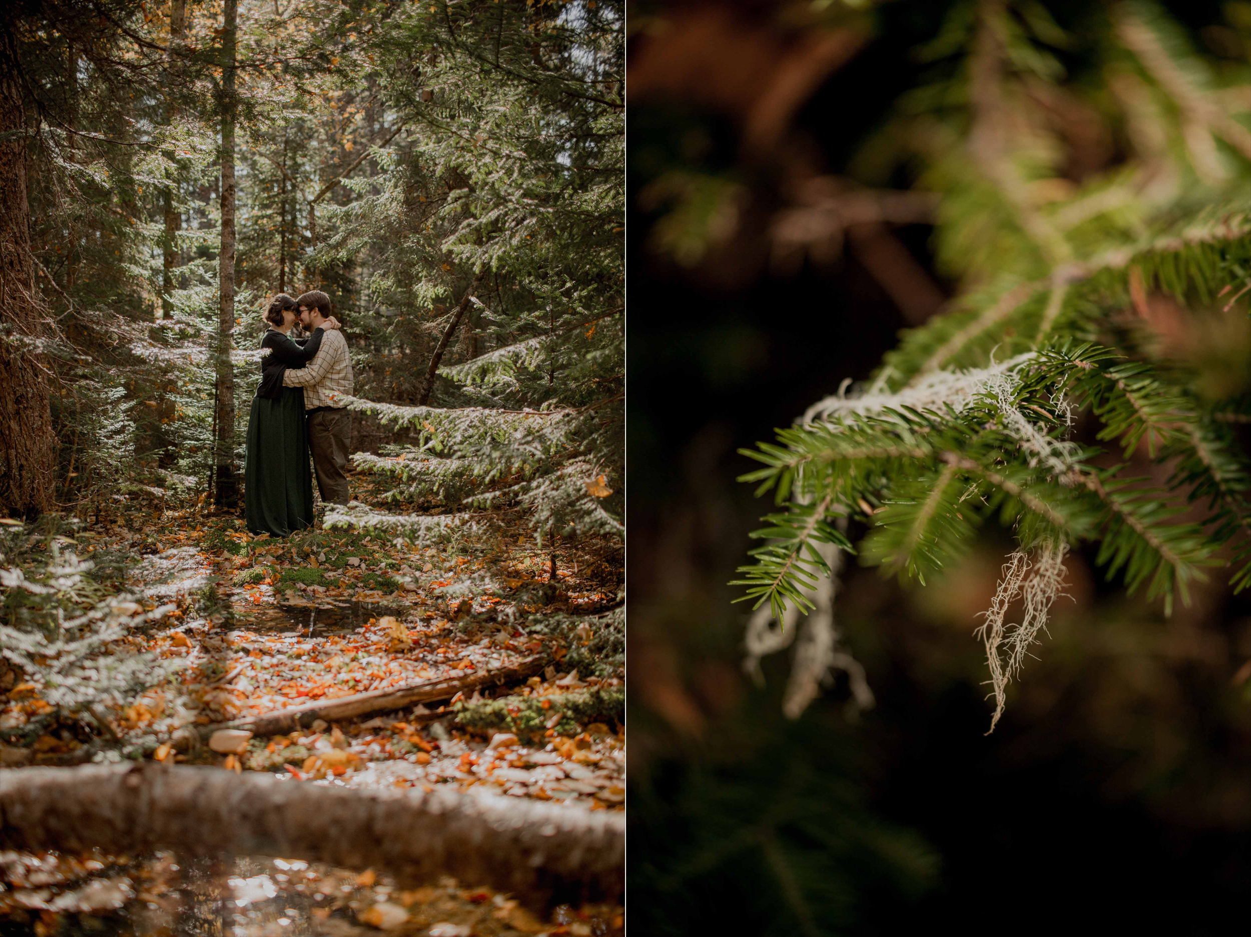 Acadia-Elopement1f.jpg