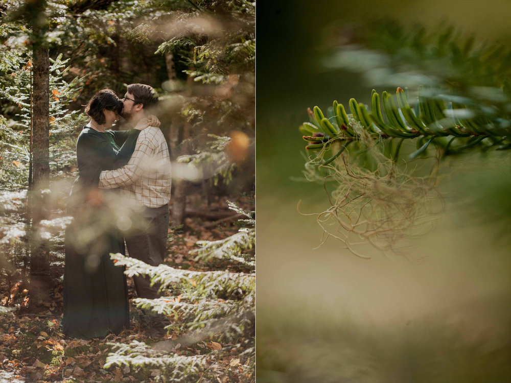 Acadia-Elopement1g.jpg